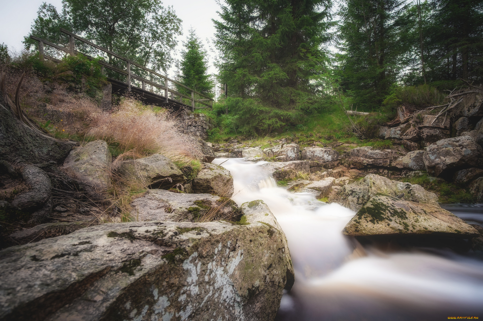 природа, реки, озера, простор