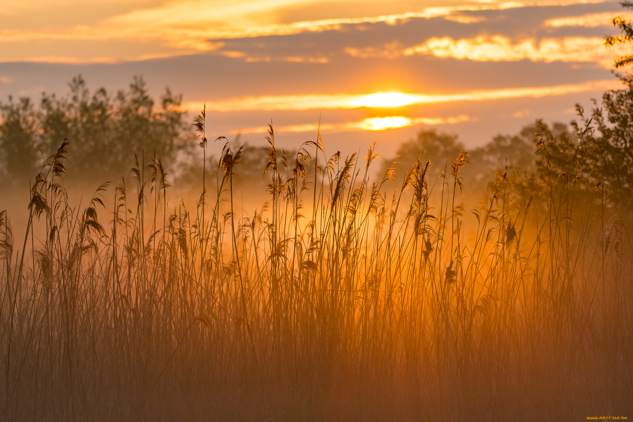 природа, восходы, закаты, простор