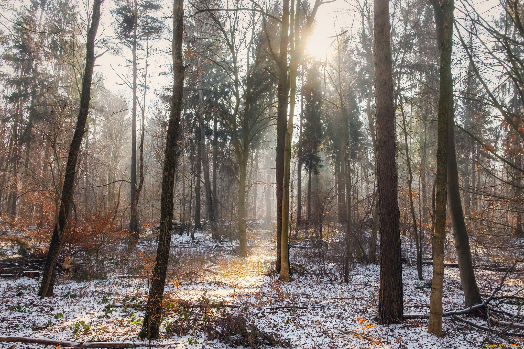 природа, зима, простор