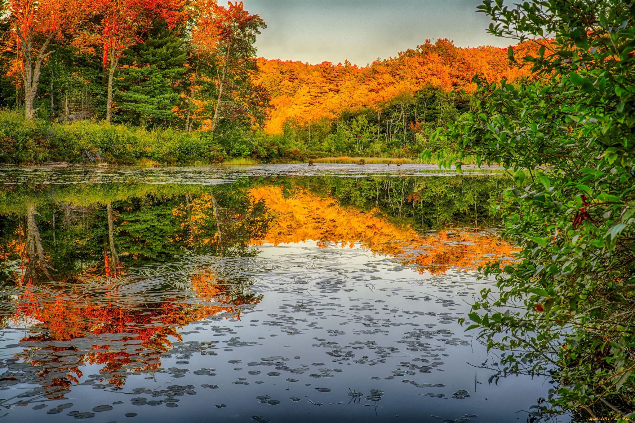 природа, реки, озера, простор