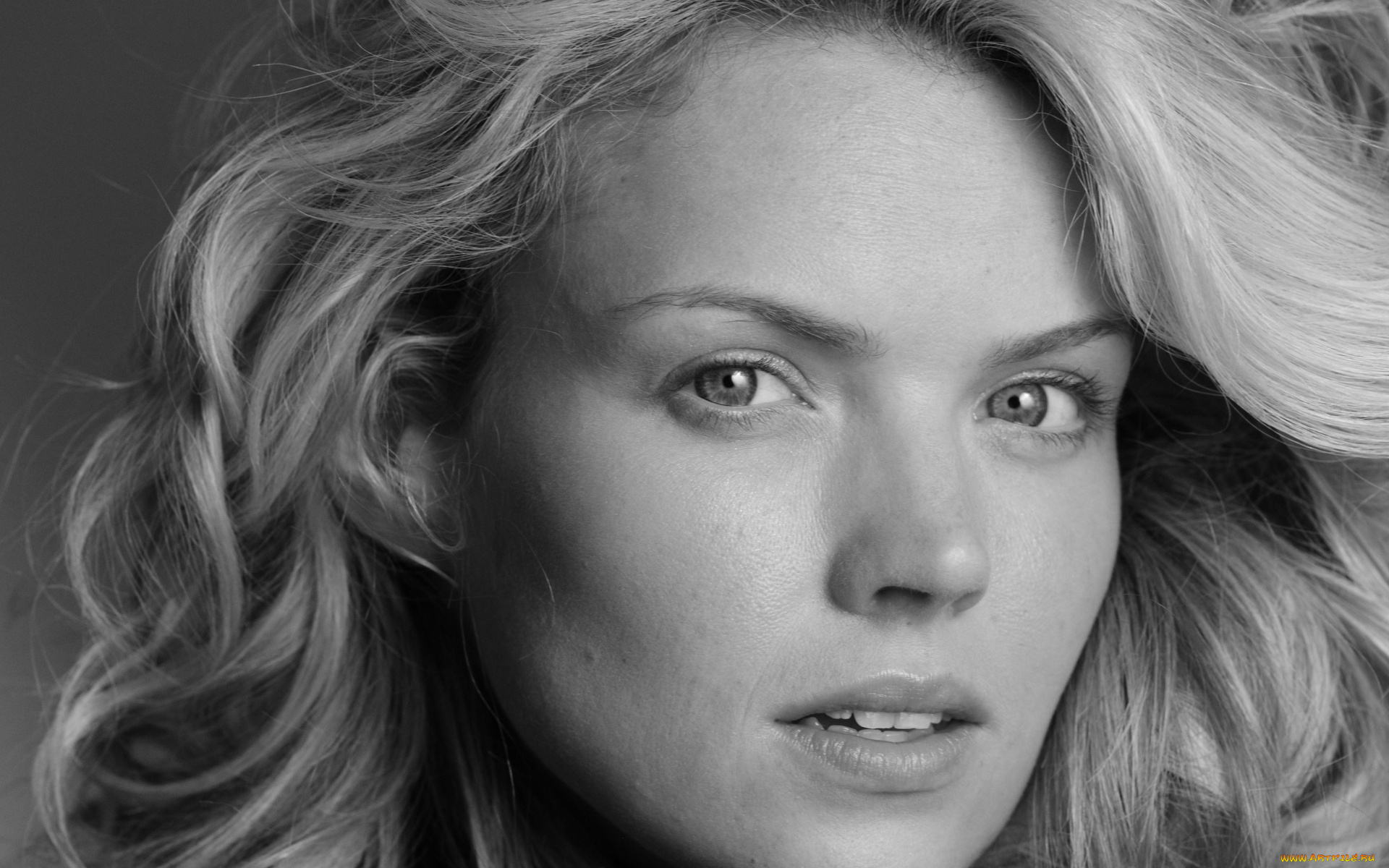 девушки, erin, richards, черно-белая, блондинка, лицо, erin, richards