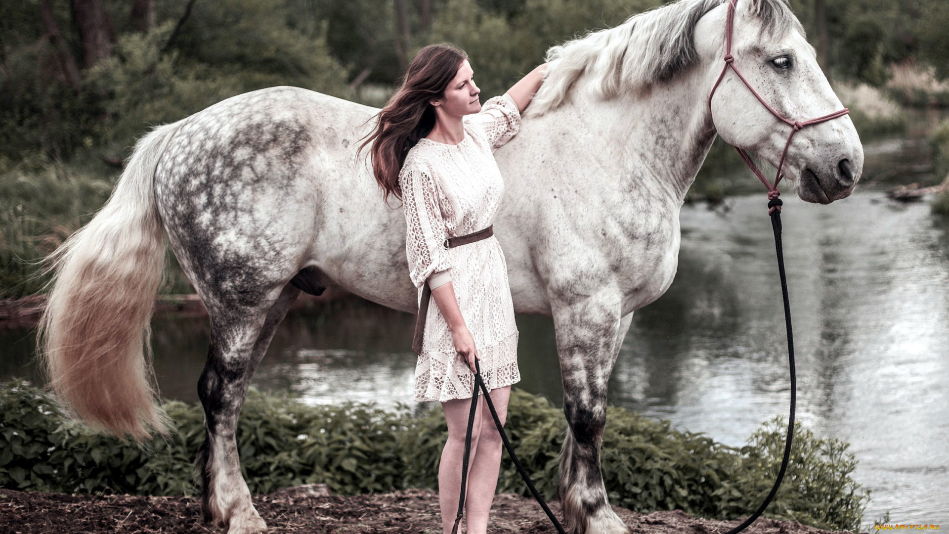 девушки, -, брюнетки, , шатенки, озеро, девушка, лошадь