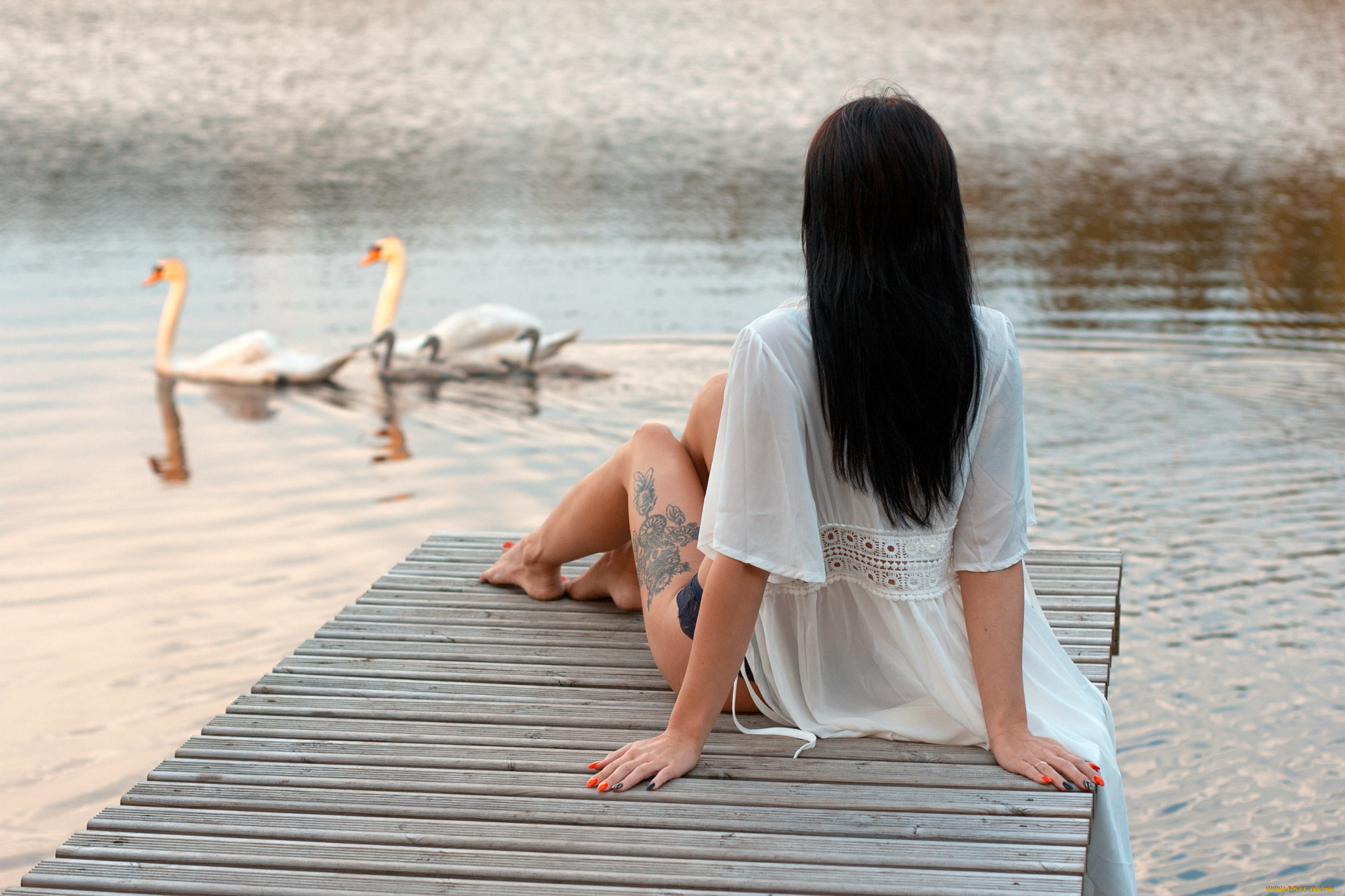 девушки, -, брюнетки, , шатенки, река, мостки, тату, лебеди, брюнетка