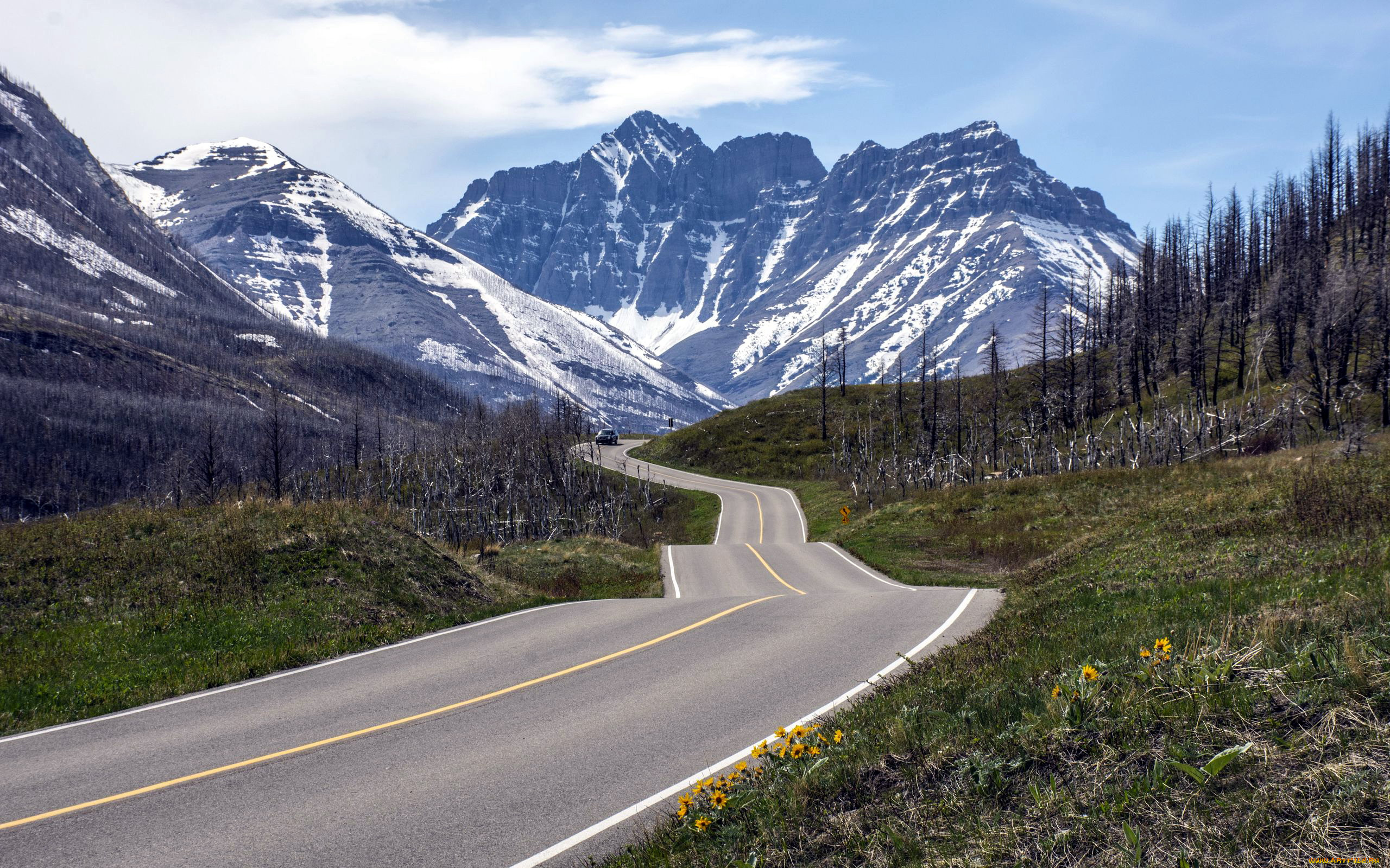 природа, дороги, шоссе