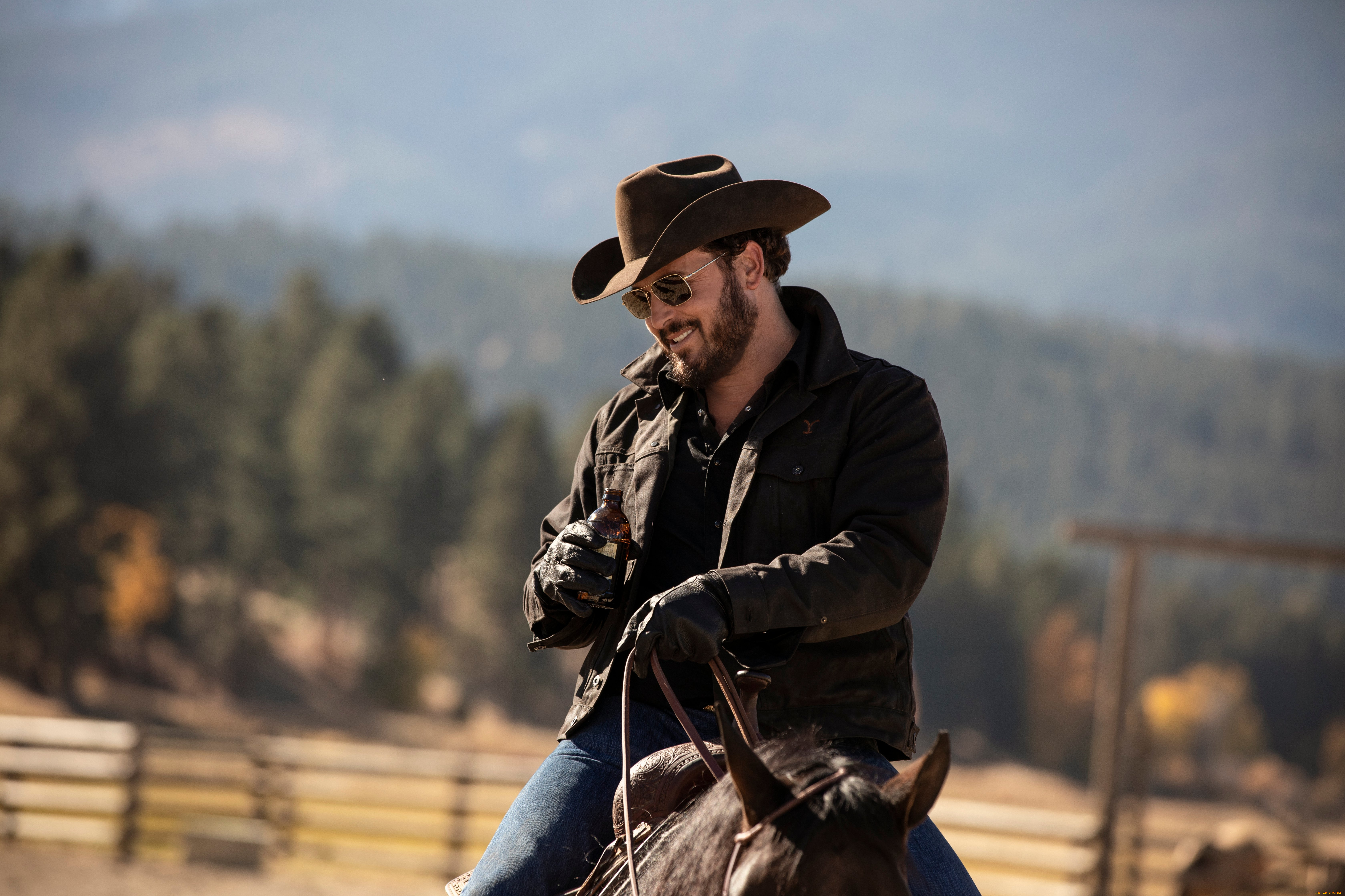 кино, фильмы, yellowstone, , сериал, ковбой, лошадь