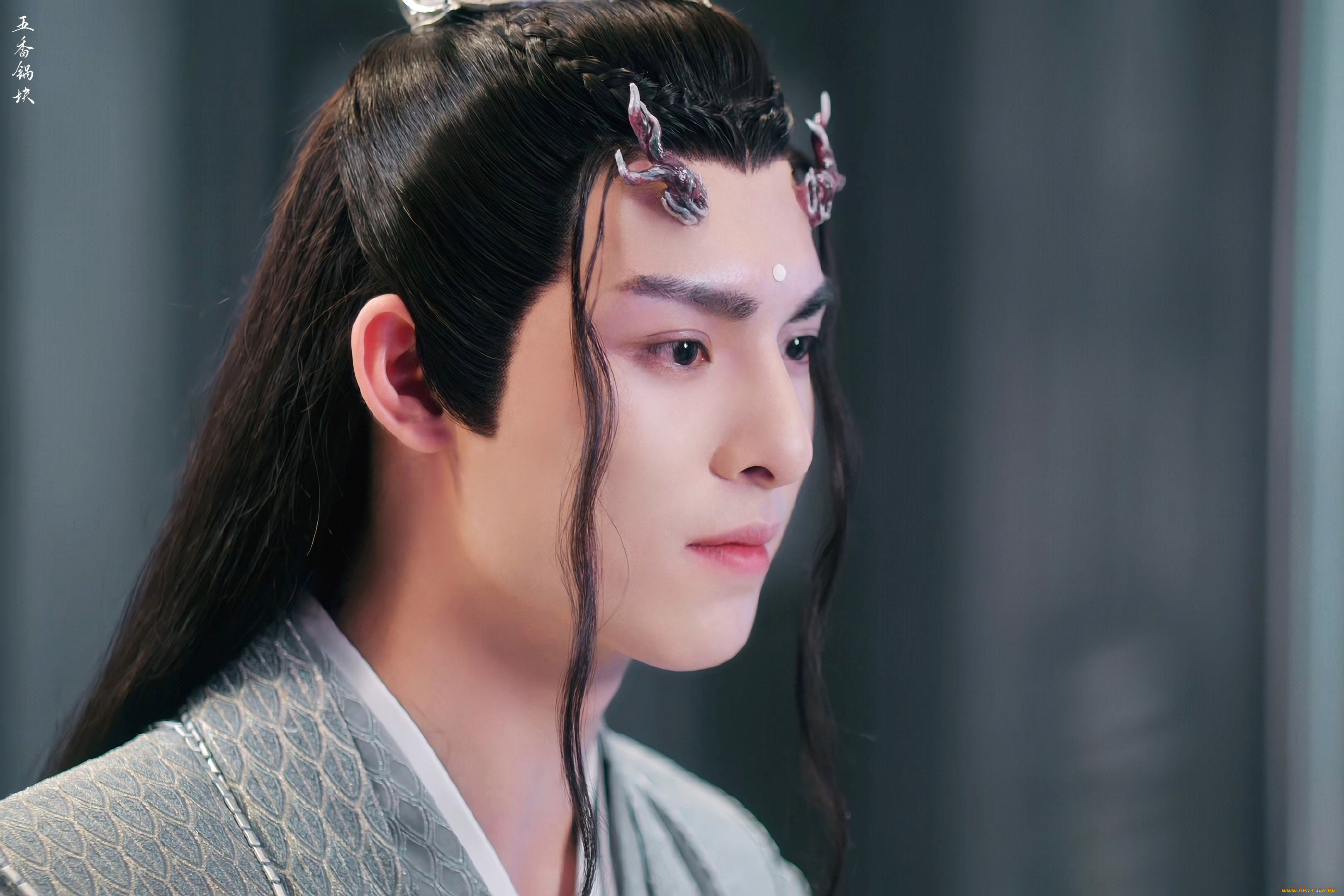 кино, фильмы, immortal, samsara, ван, хао, сюань, вечная, самсара, щепки, агарового, дерева