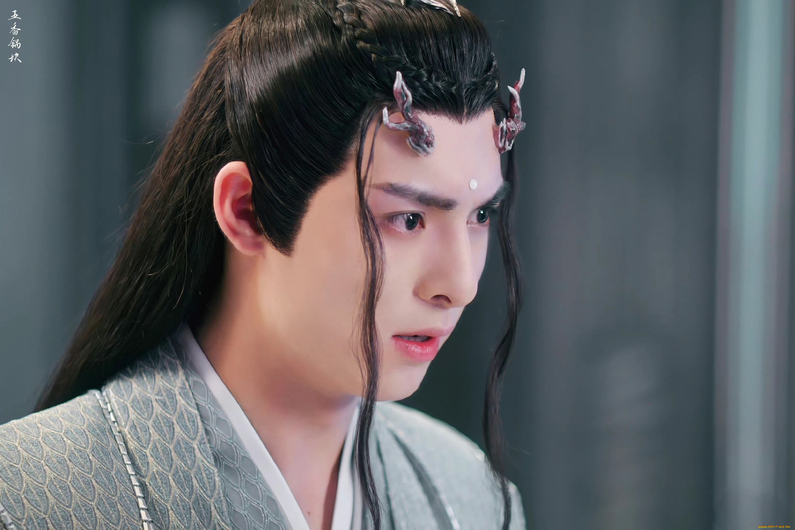 кино, фильмы, immortal, samsara, ван, хао, сюань, вечная, самсара, щепки, агарового, дерева