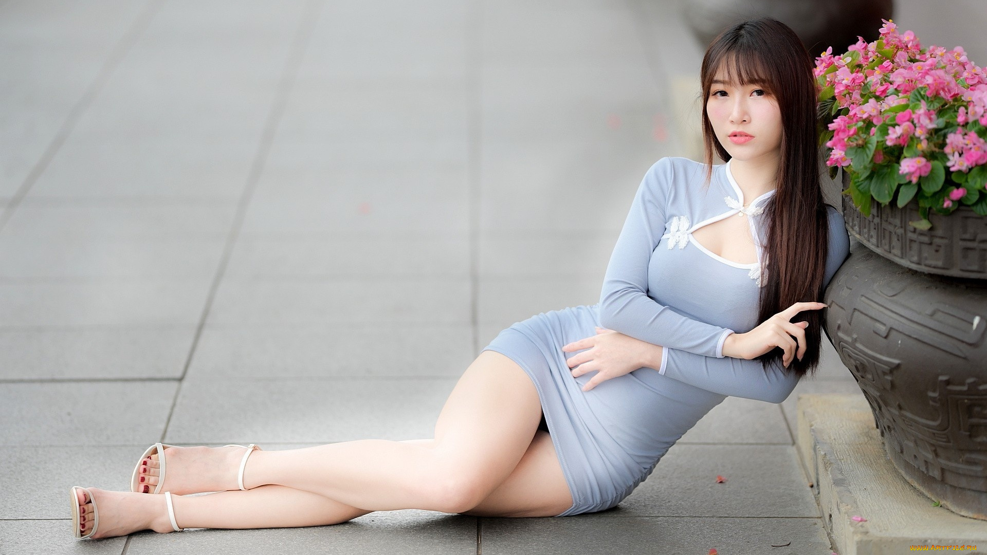 девушки, -, азиатки, красивая, девушка