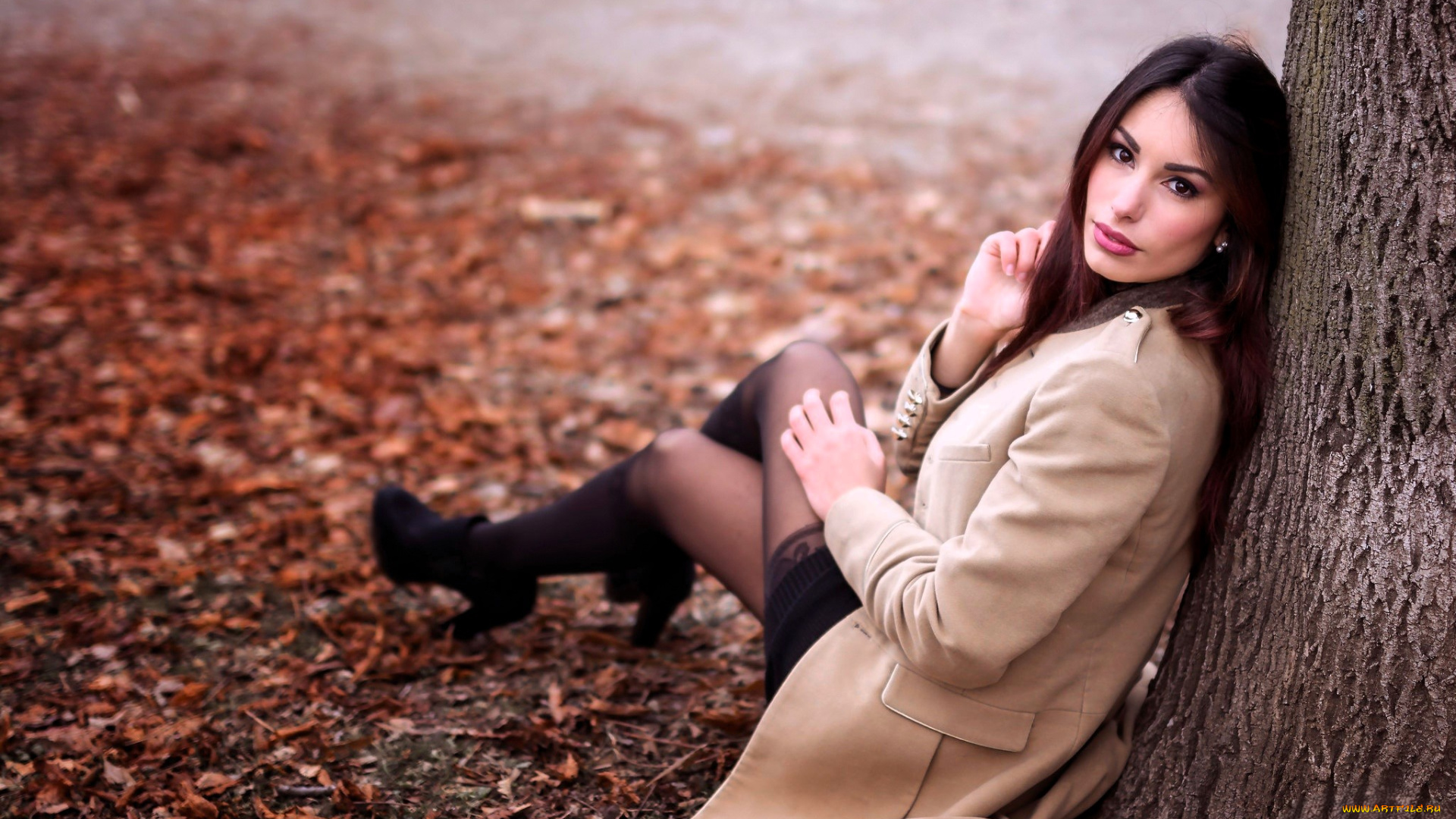 девушки, -, брюнетки, , шатенки, шатенка, пальто, чулки, сапоги, ствол, дерево, листья, осень