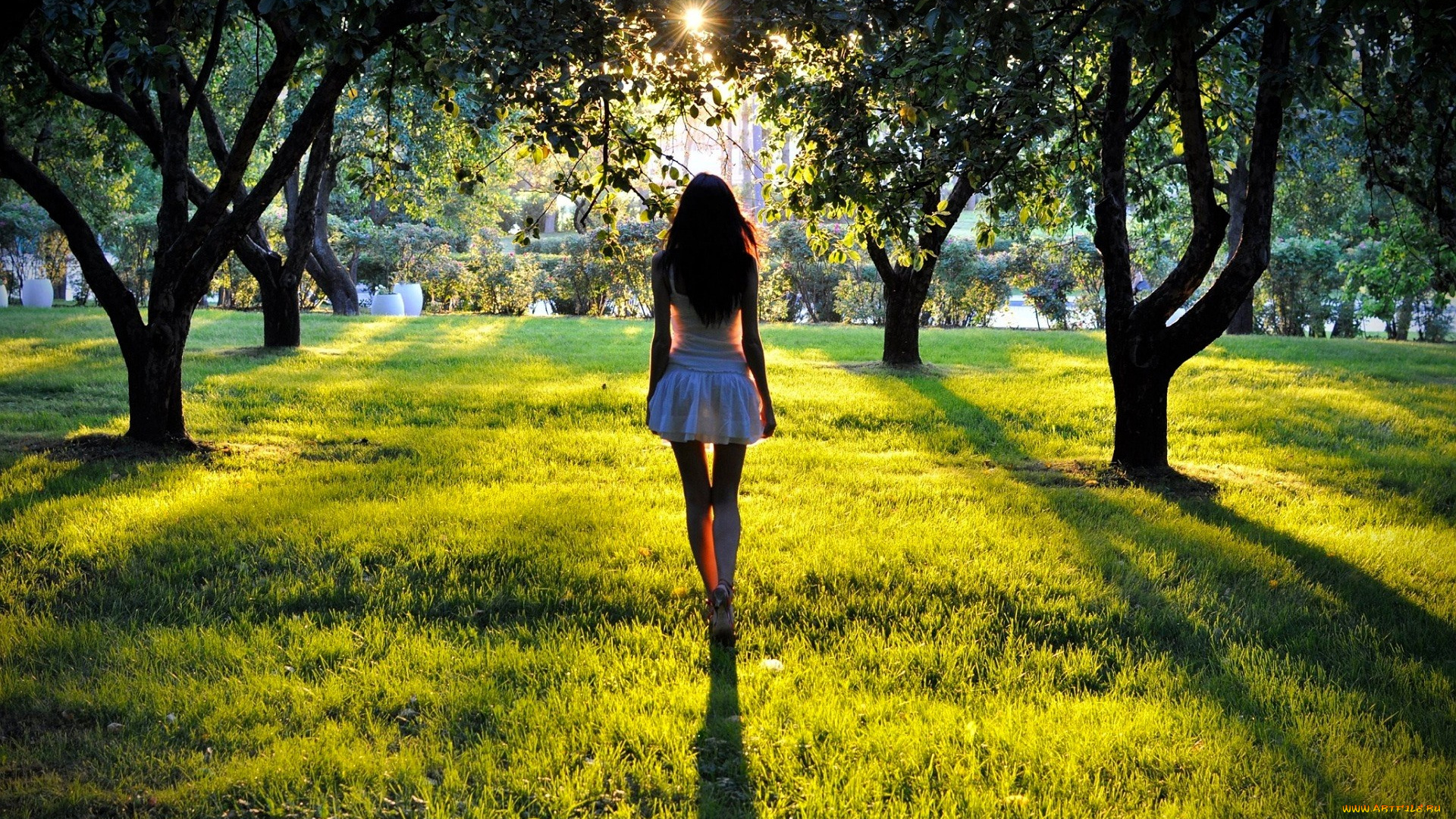 девушки, -, брюнетки, , шатенки, шатенка, платье, деревья, трава, парк