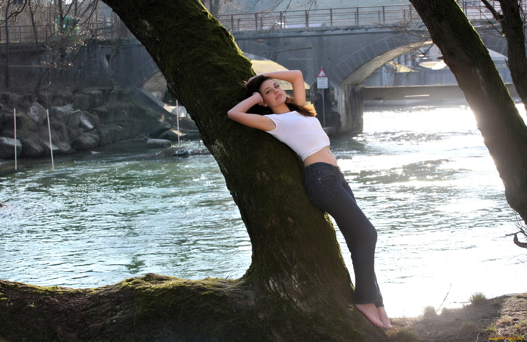 девушки, lorena, garcia, , lorena, morena, брюнетка, футболка, джинсы, дерево, река, мост, город