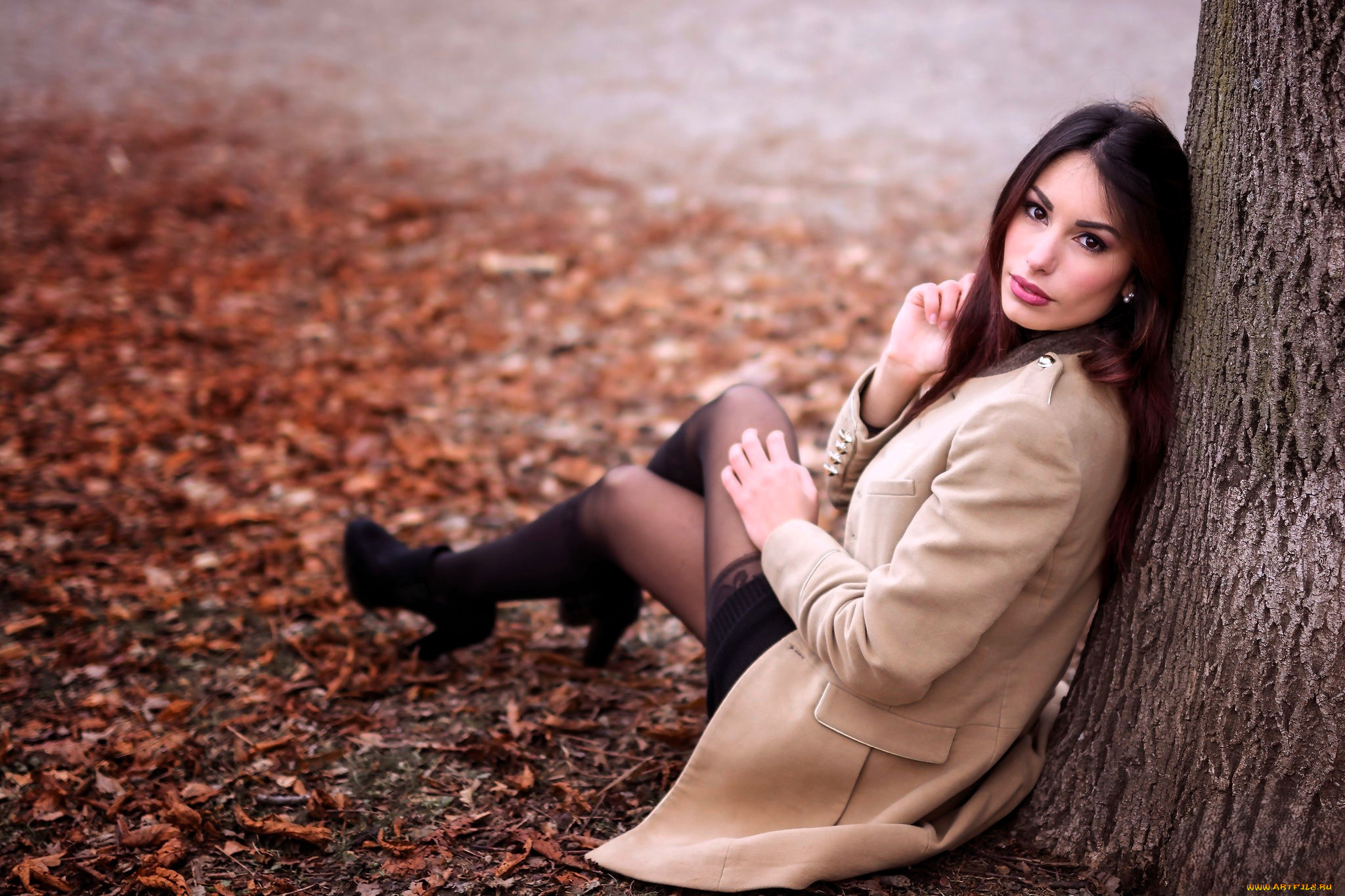 девушки, -, брюнетки, , шатенки, шатенка, пальто, чулки, сапоги, ствол, дерево, листья, осень