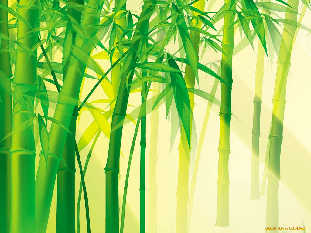 векторная, графика