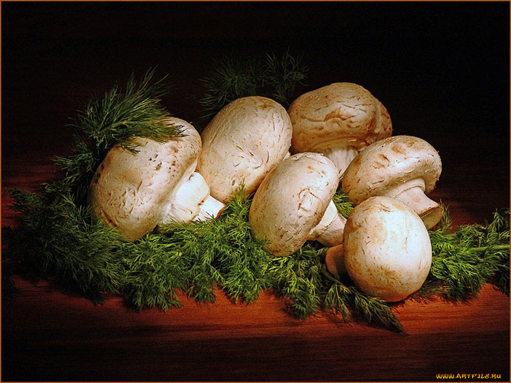 авт, данил, ромодин, еда, грибы, грибные, блюда