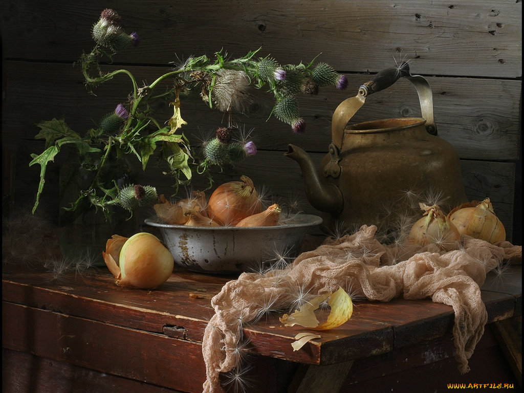 ира, быкова, Чертополох, миска, лука, старый, чайник, еда, натюрморт