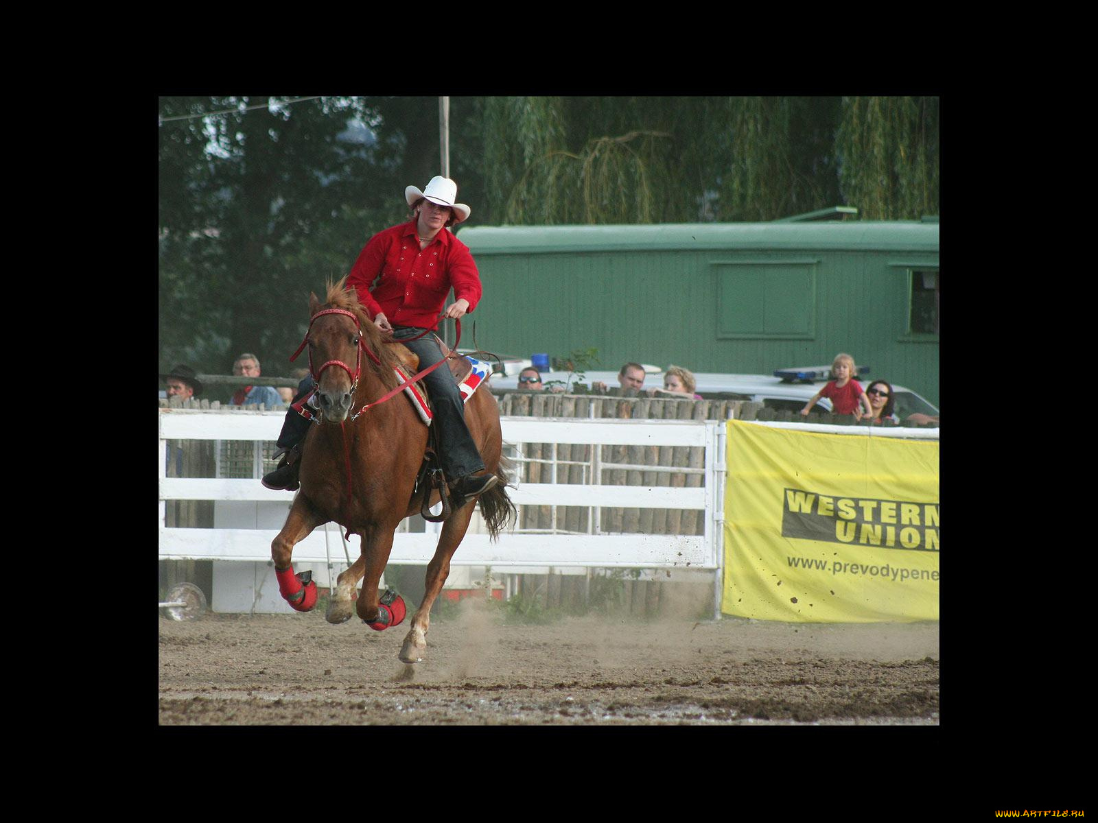 спорт, конный