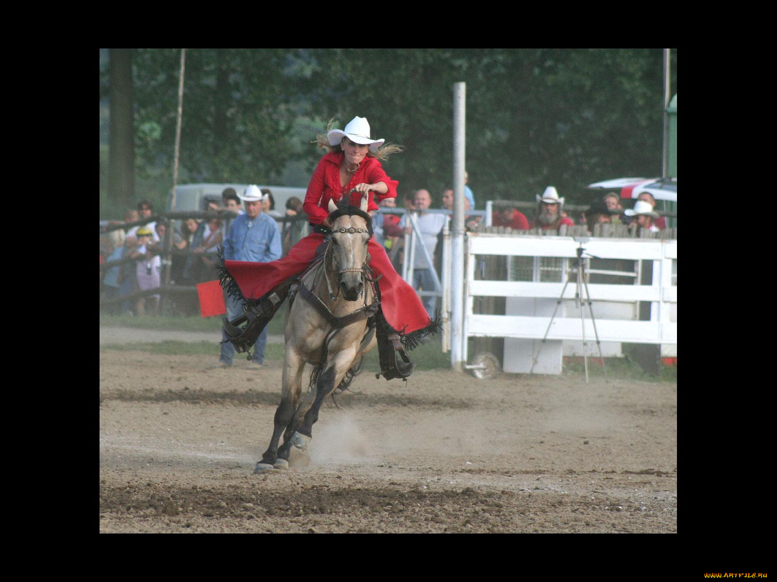 спорт, конный
