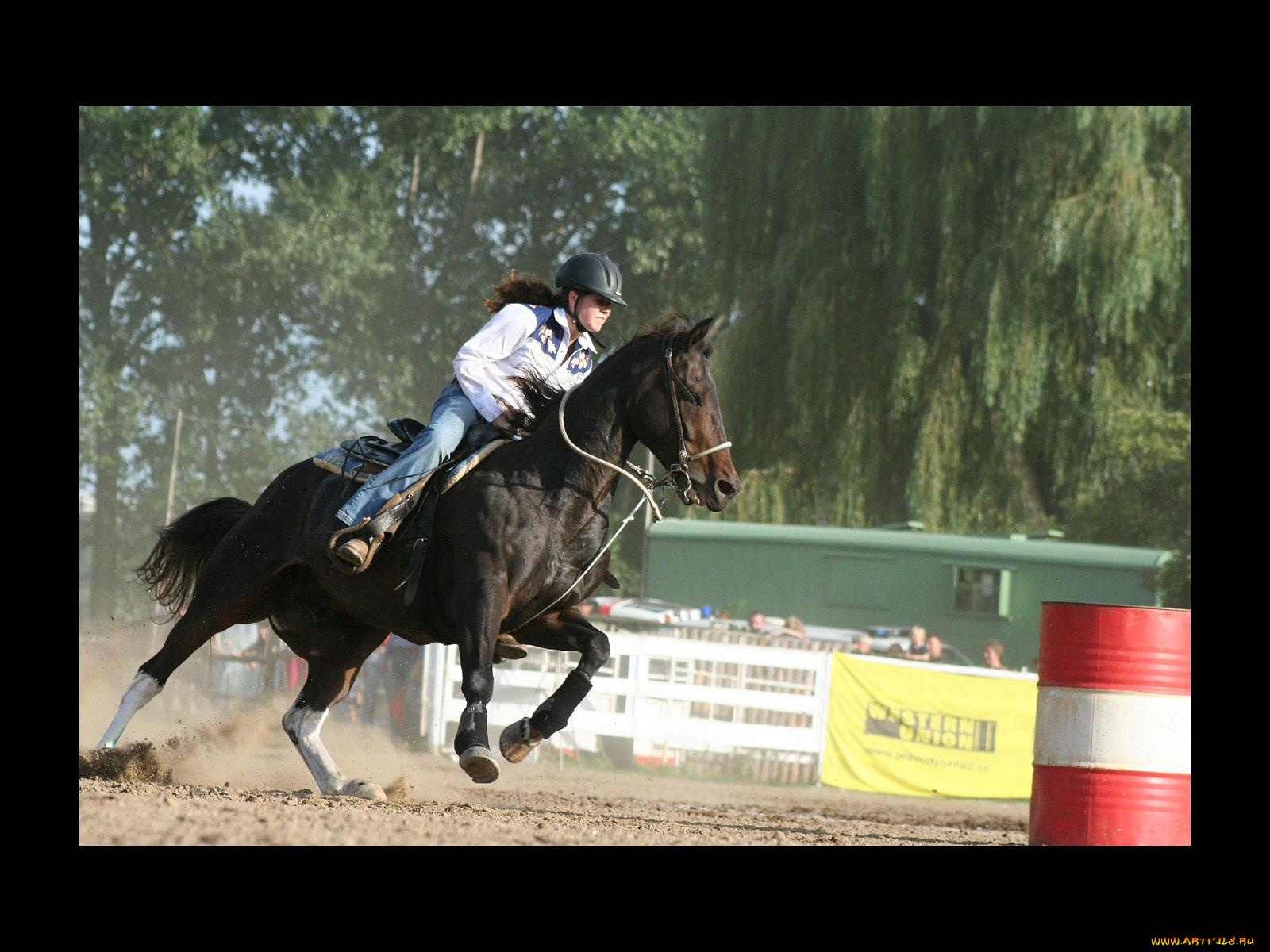 спорт, конный