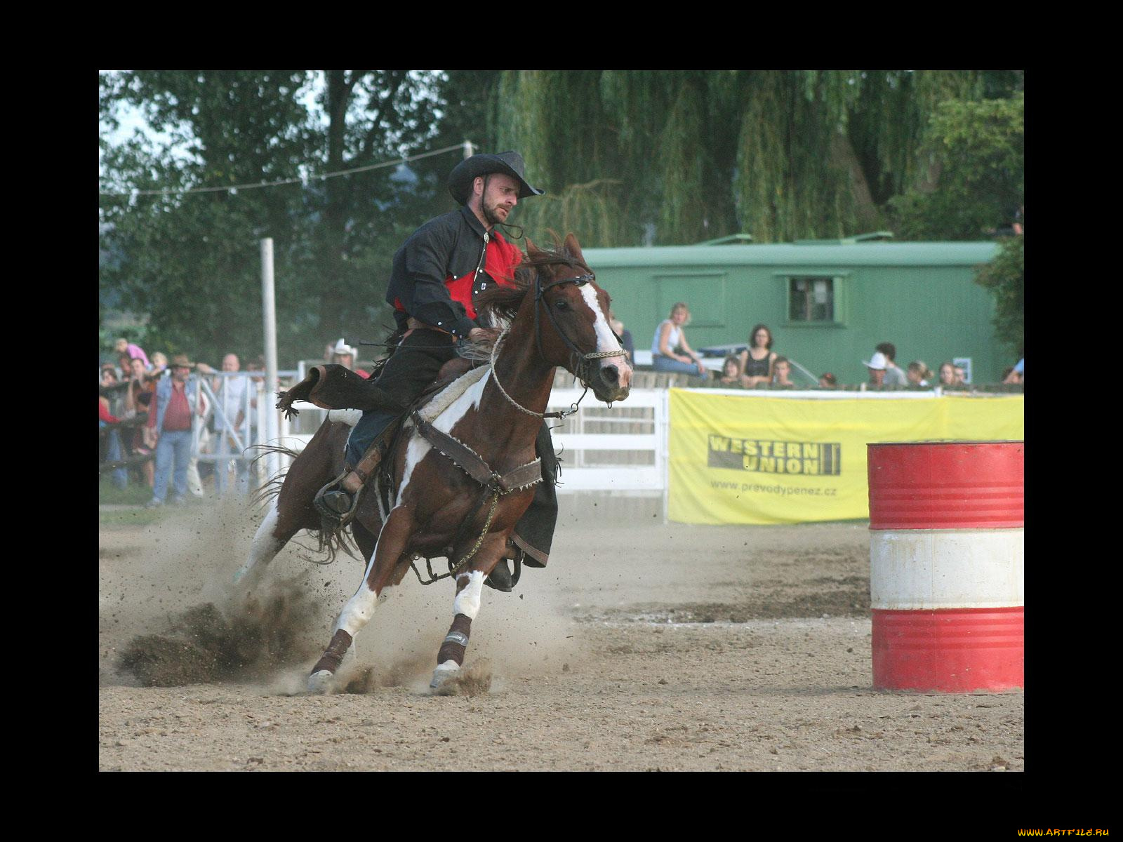 спорт, конный