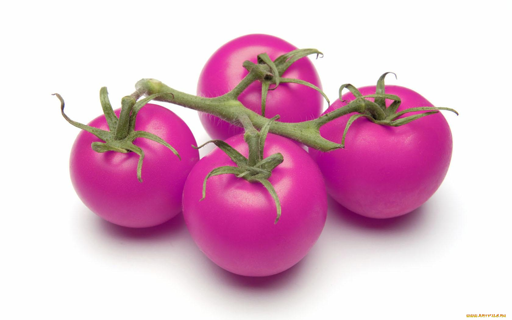 еда, помидоры, томаты