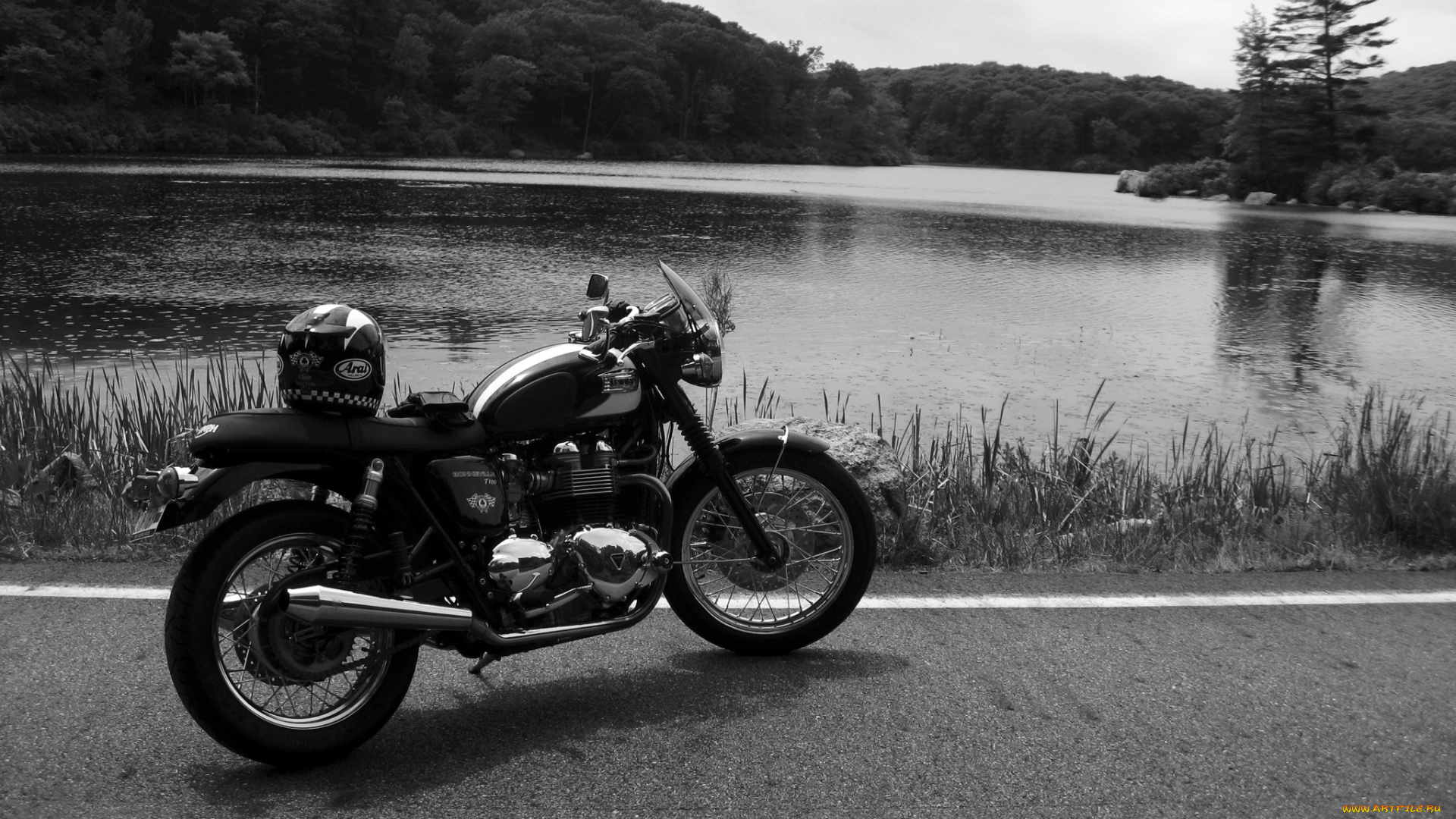 мотоциклы, triumph