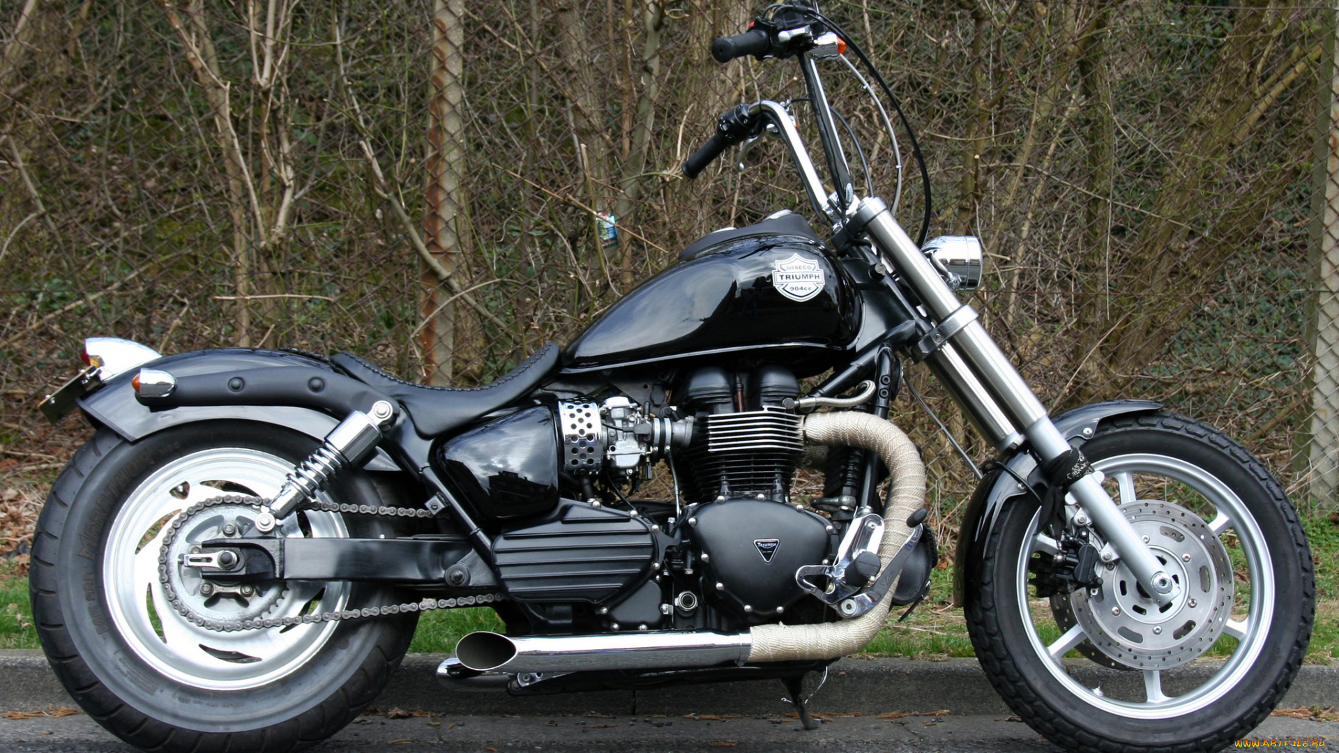 мотоциклы, triumph