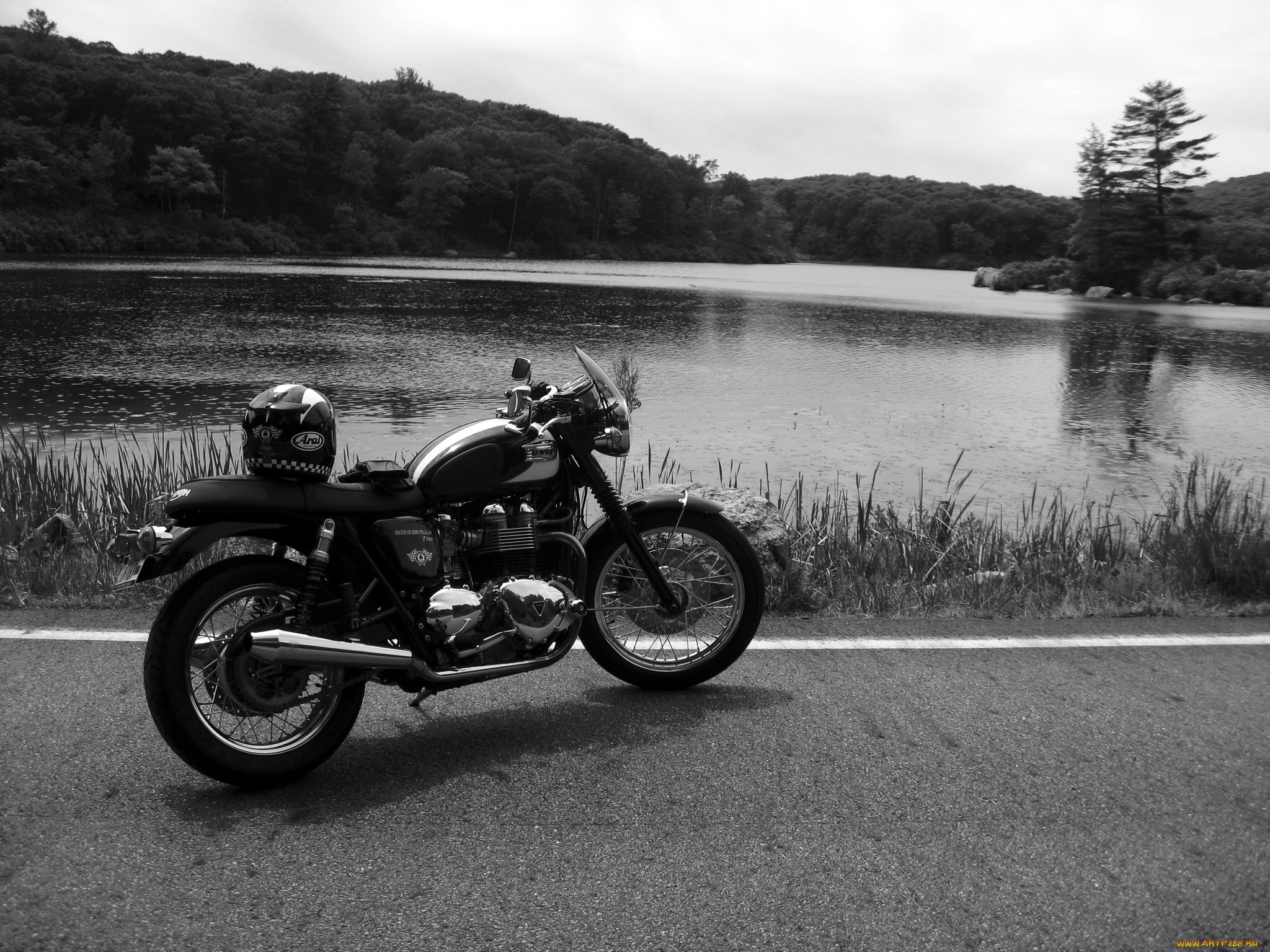 мотоциклы, triumph