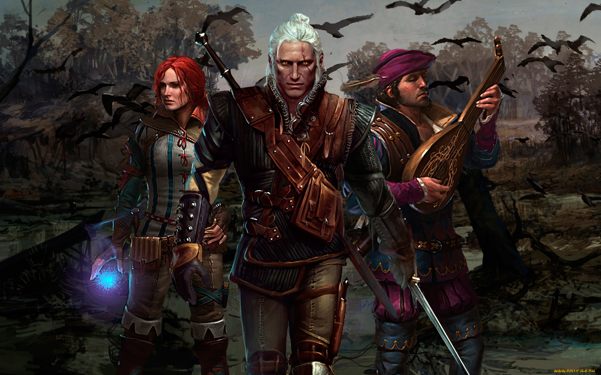 the, witcher, assassins, of, kings, видео, игры