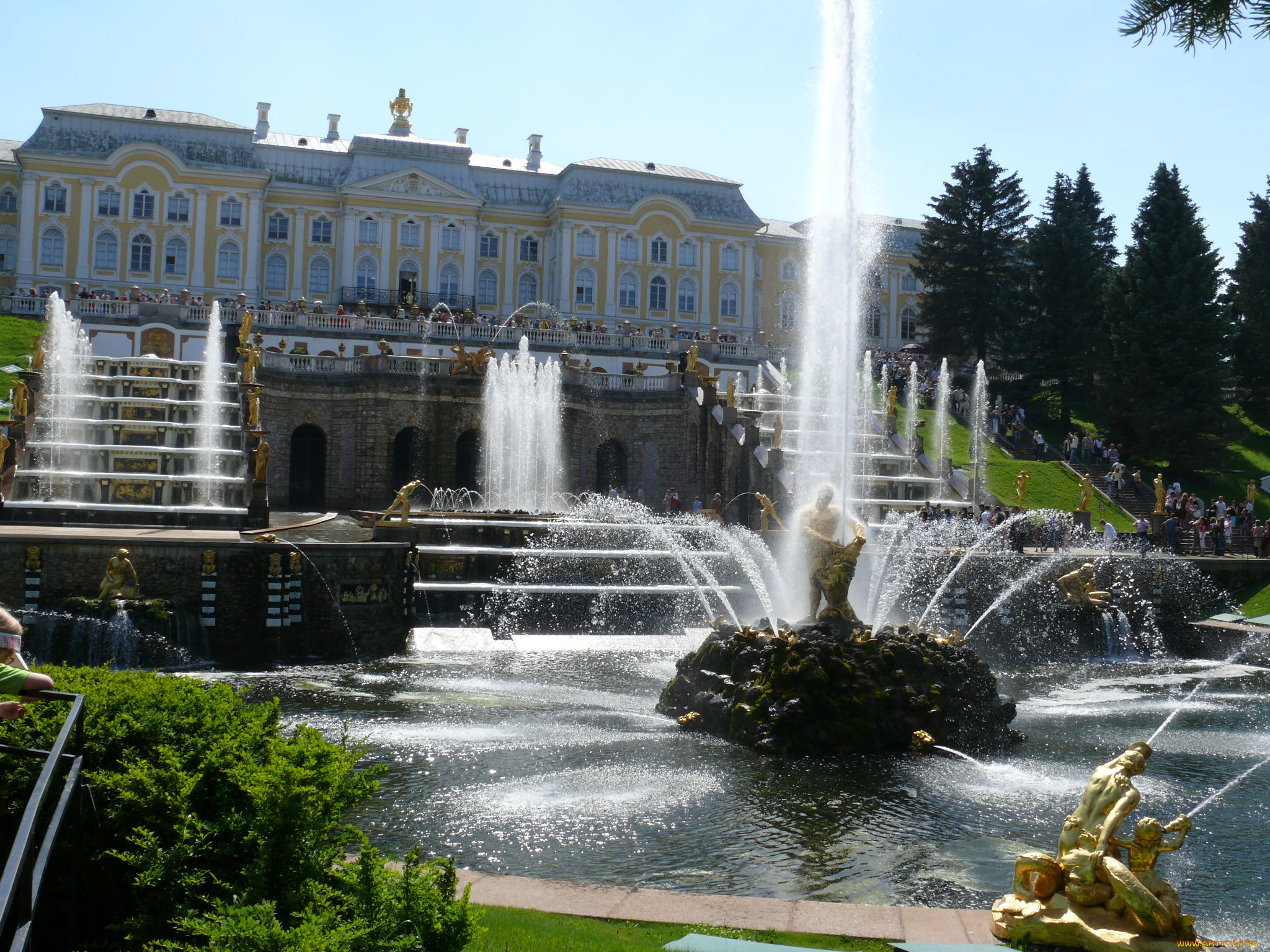 автор, владимир, кузнецов, города, санкт, петербург, петергоф, россия