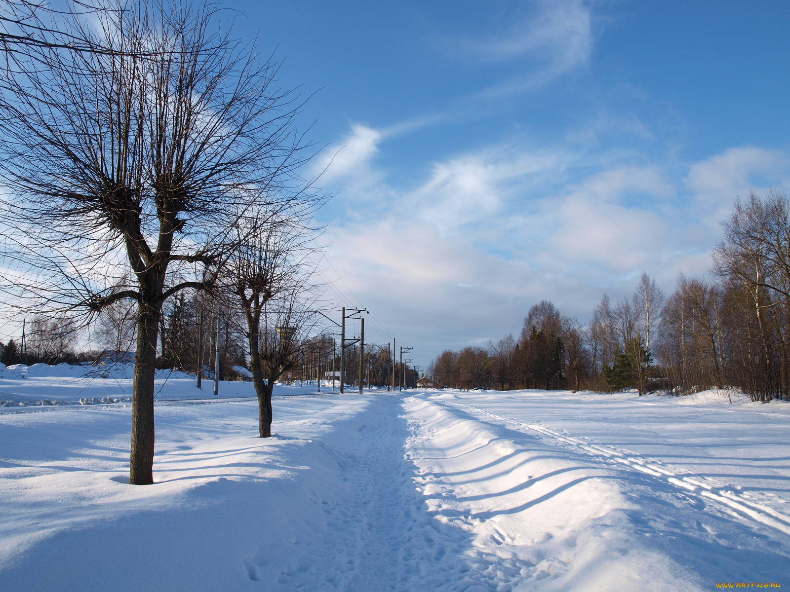 природа, зима, снег, деревья