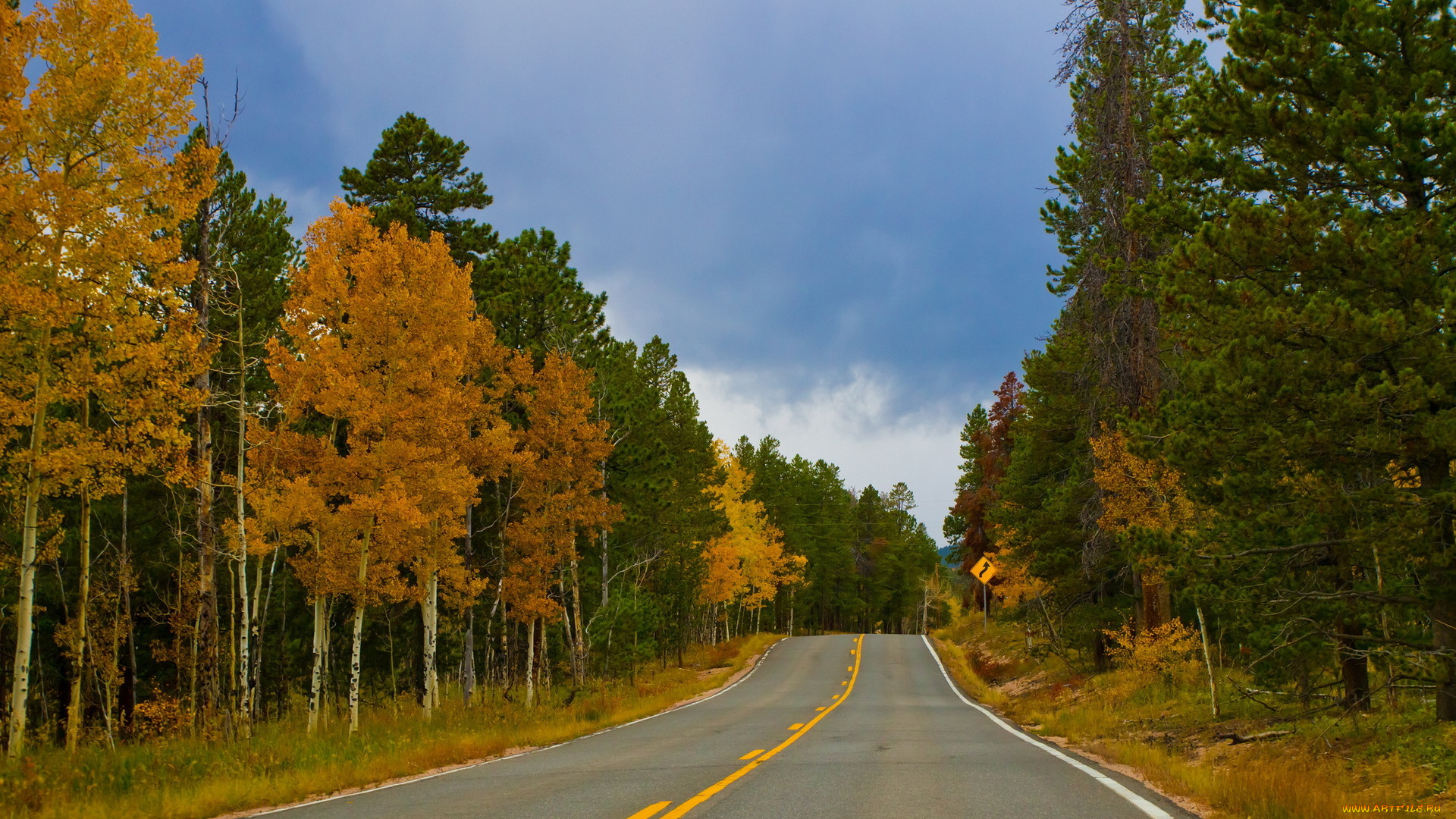 природа, дороги, дорога, лес, осень