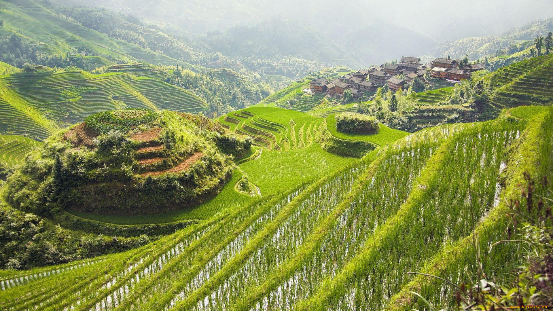 природа, поля, горы