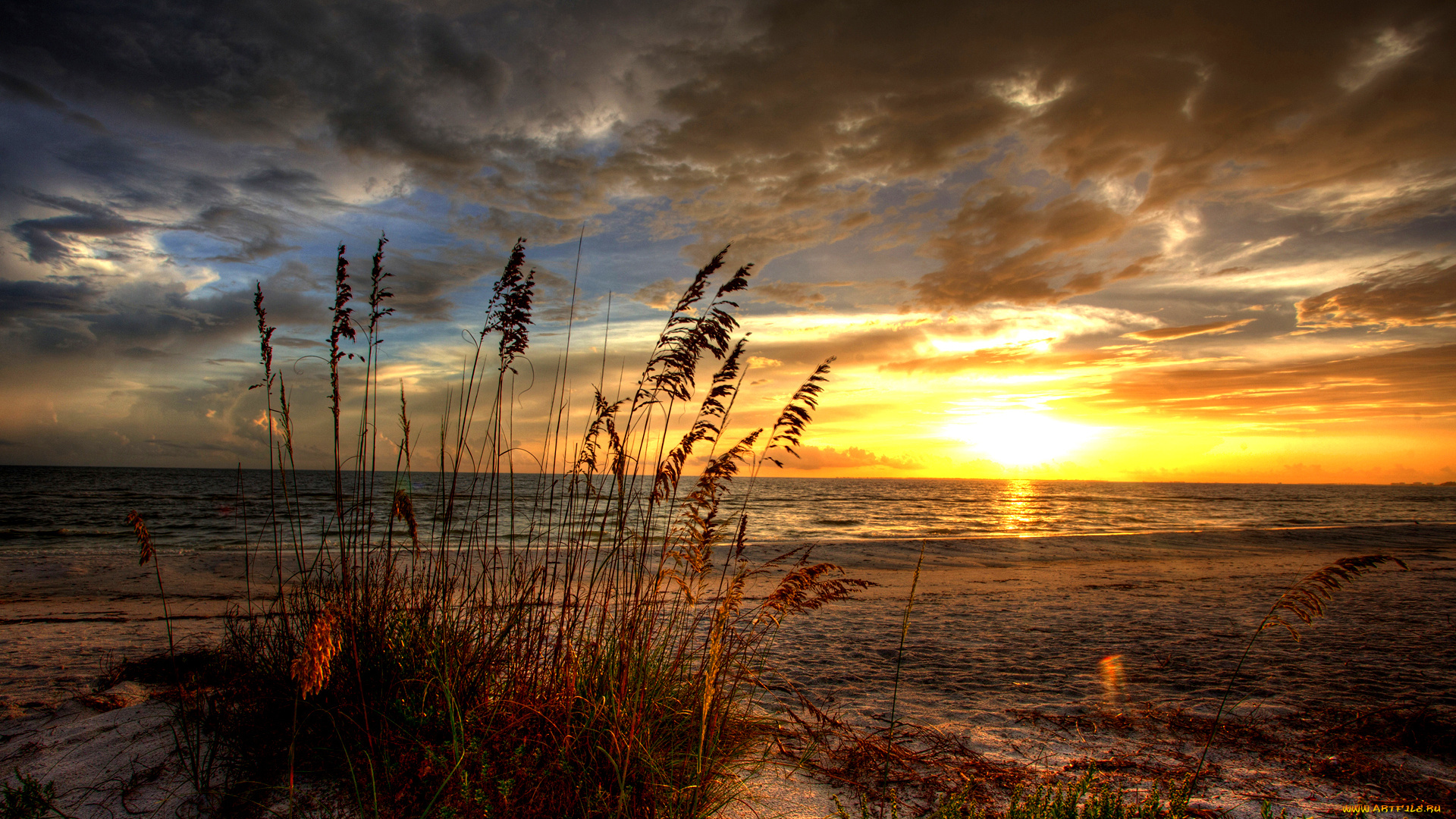 природа, восходы, закаты, океан, закат, трава, пляж