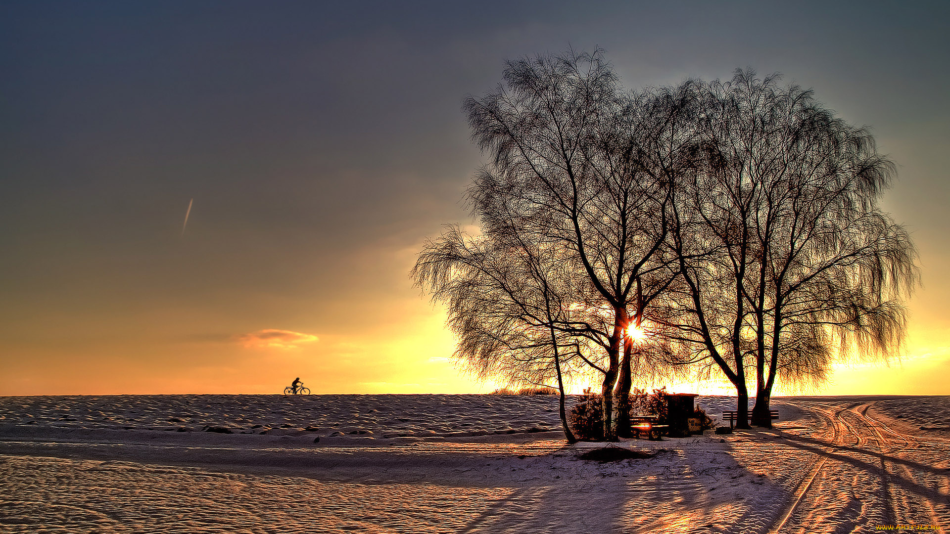 природа, зима, деревья, снег, закат