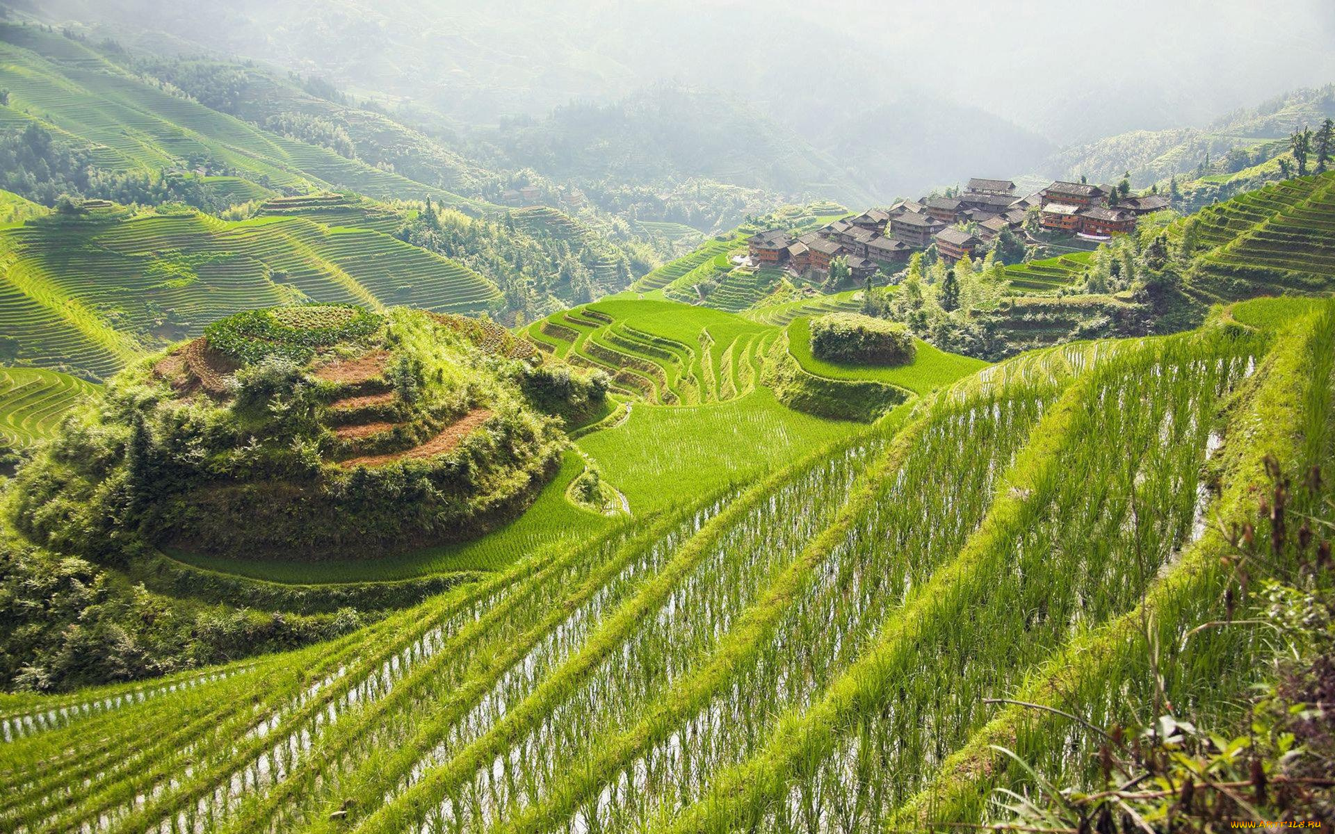 природа, поля, горы