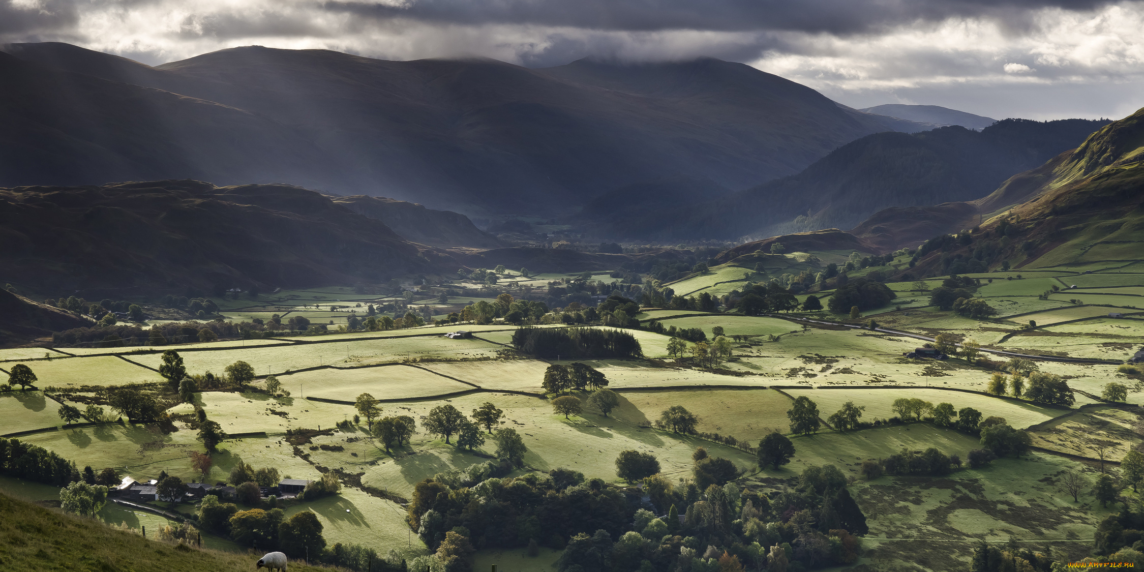 природа, пейзажи, вид, холмы, поля, зелень, деревья