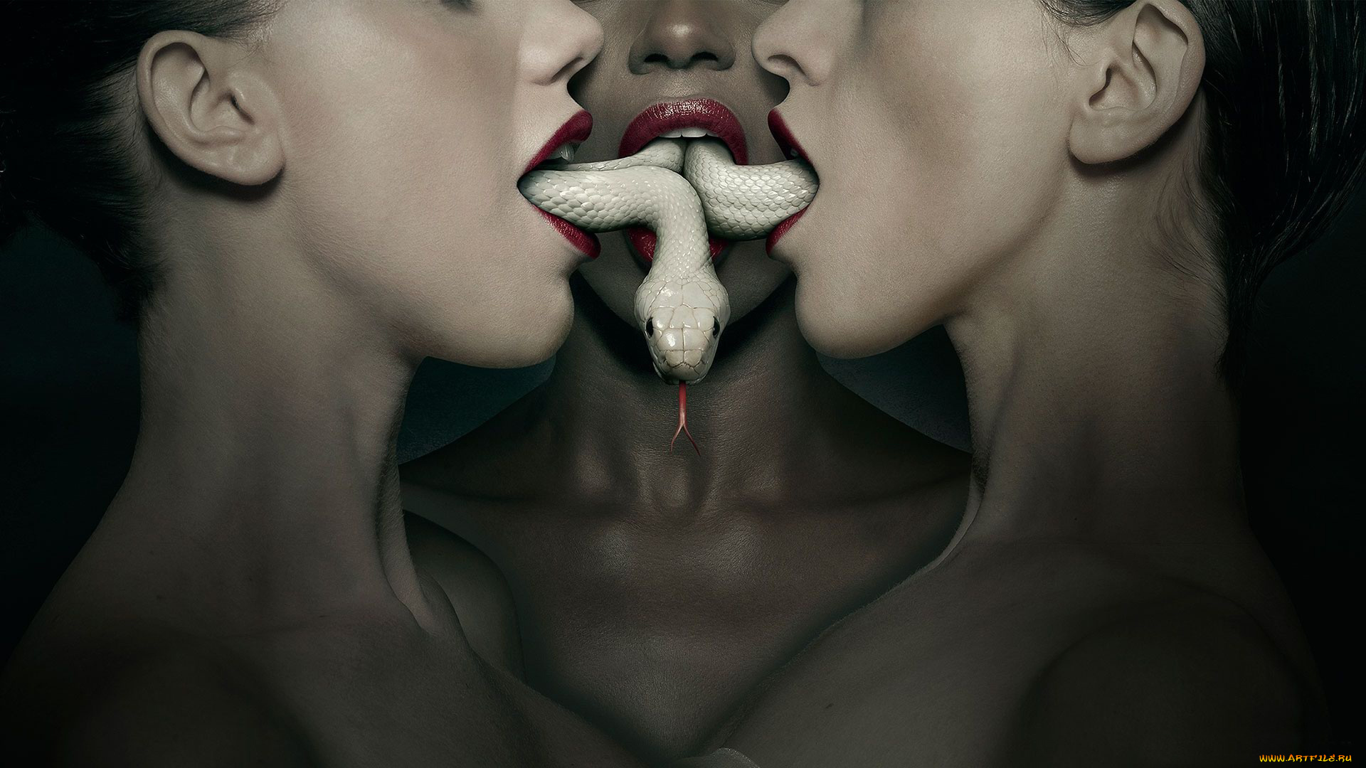 american, horror, story, кино, фильмы, американская, история, ужасов