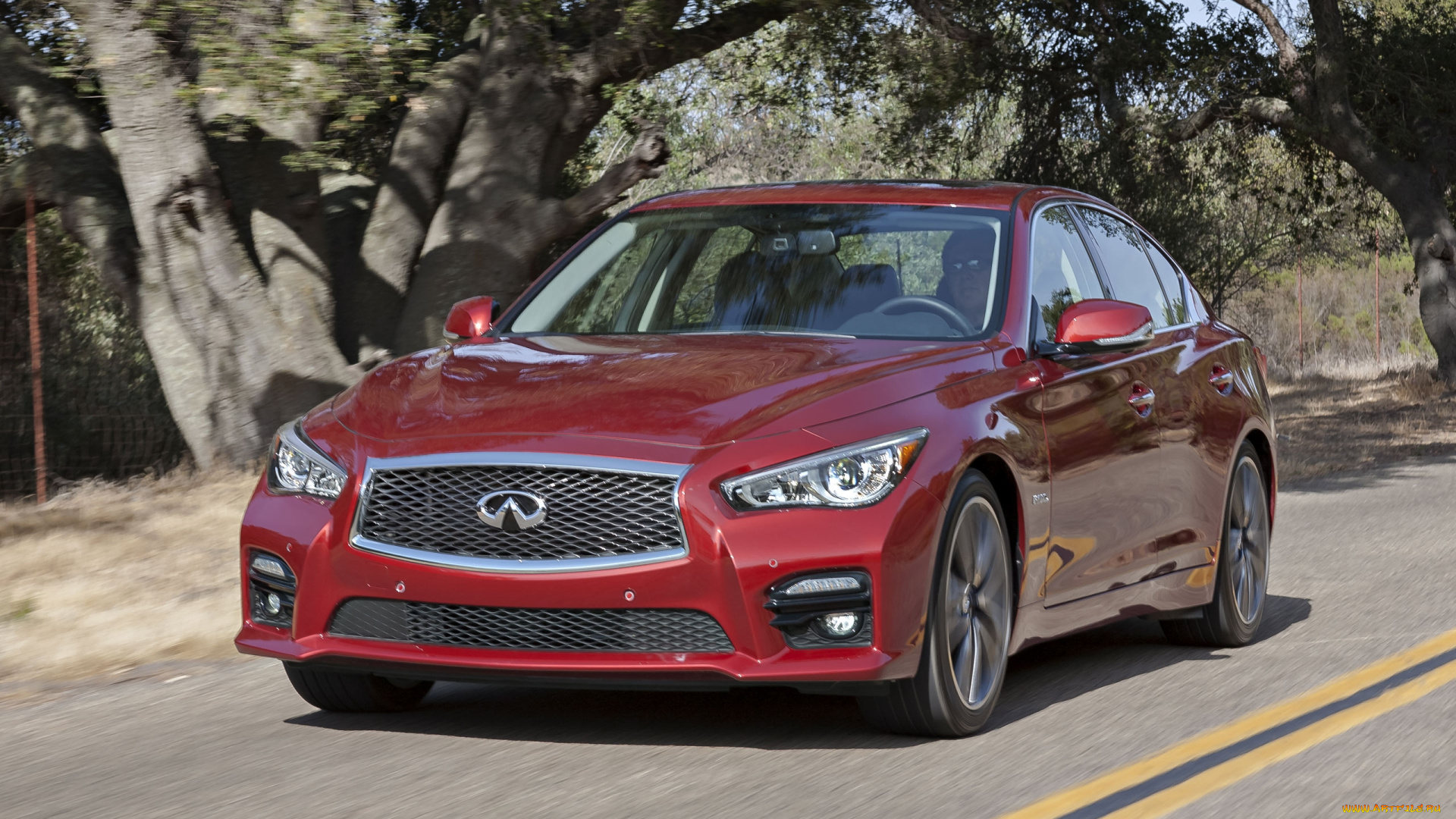 infiniti, q50, автомобили, nissan, motor, класс-люкс, Япония