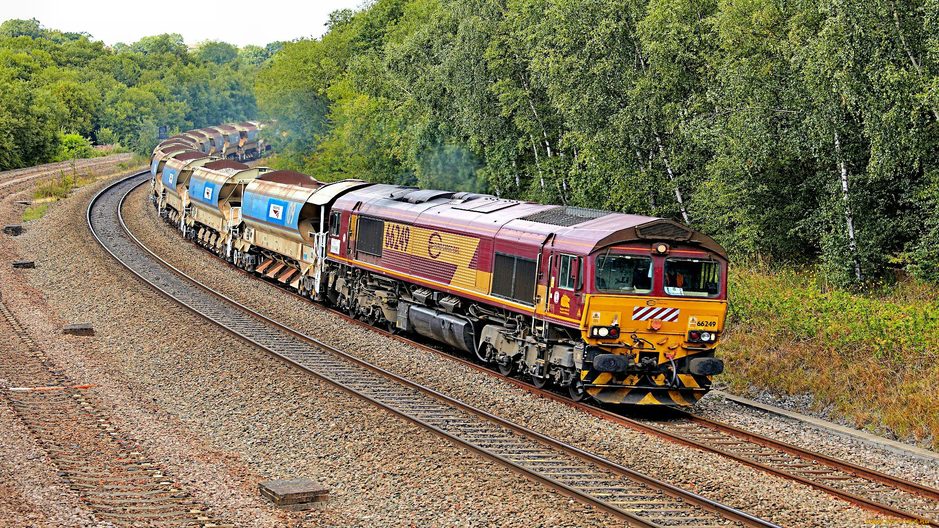 техника, поезда, грузовой, состав, локомотив, пути, рельсы, железная, дорога, лес