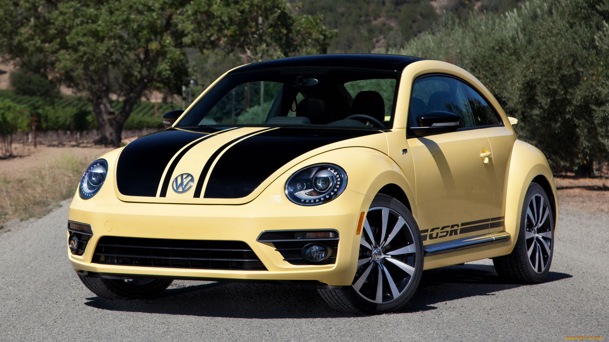 volkswagen, beetle, автомобили, автомобилестроение, германия, концерн, ag