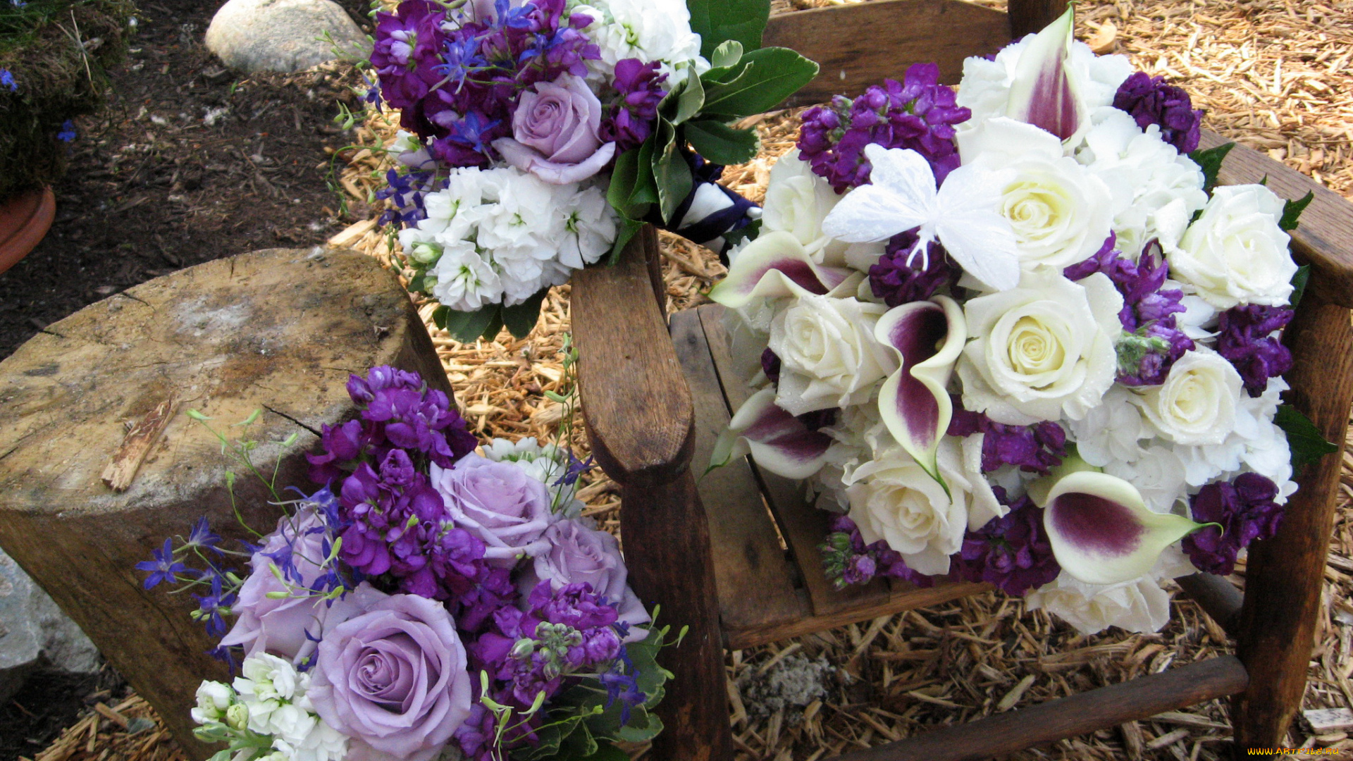 цветы, букеты, , композиции, розы, каллы, букет