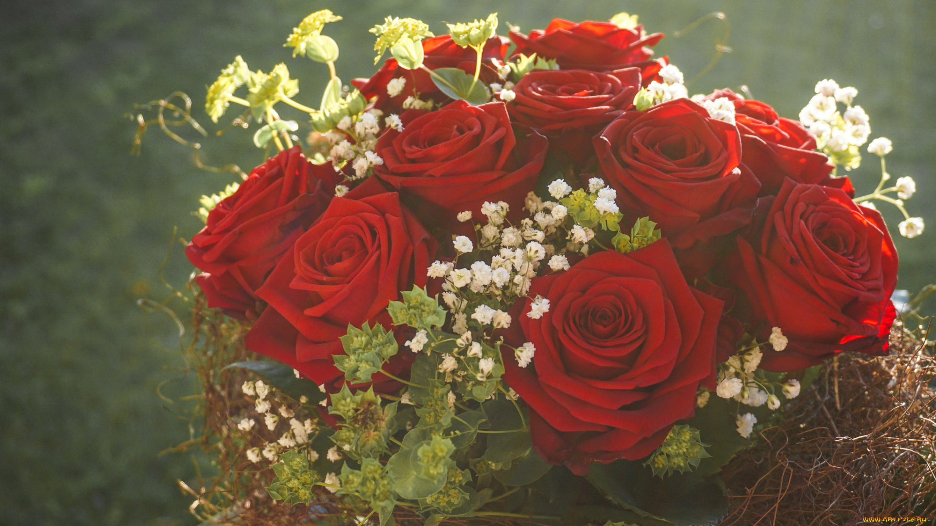 цветы, розы, листья, petals, лепестки, bud, бутон, роза, rose, цветение, blossoms, leaves