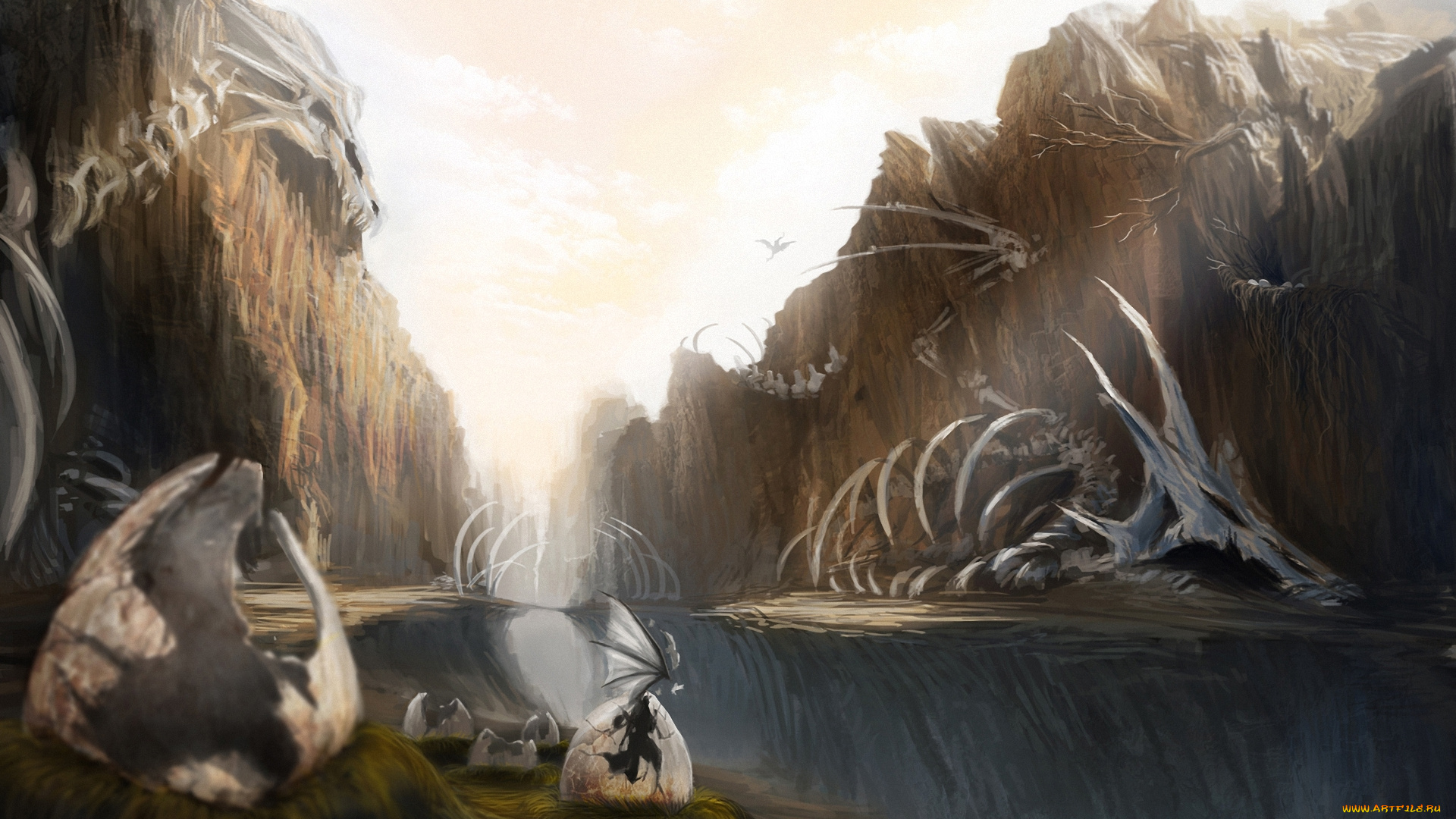 фэнтези, драконы, яйца, скалы, скелеты, ущелье, мир, иной