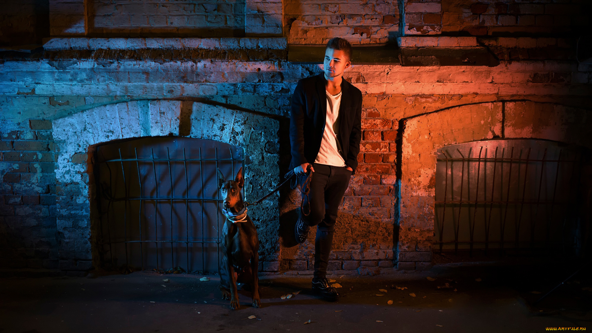 мужчины, -, unsort, парень, ночь, улица, город, собака
