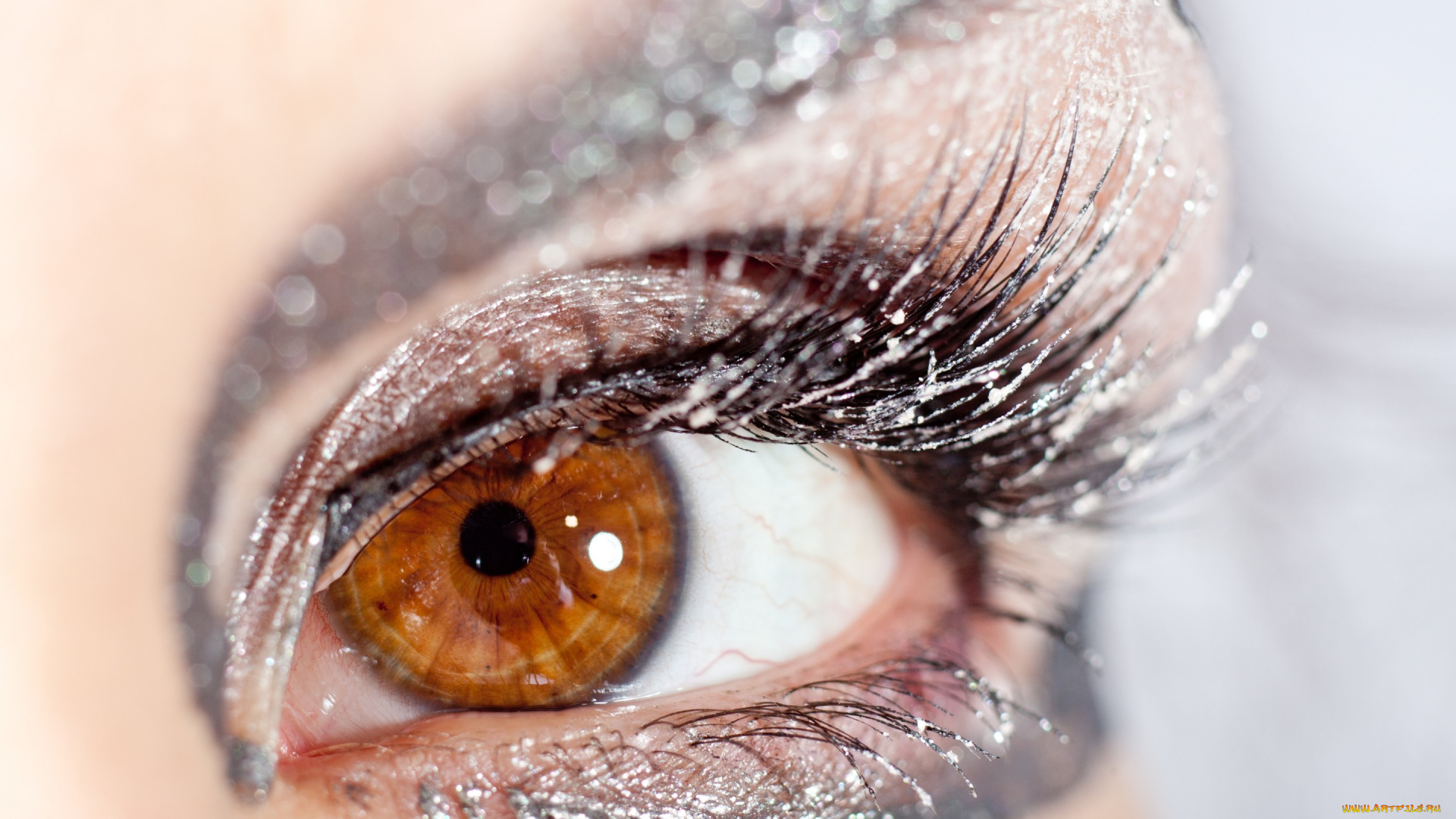 разное, глаза, макро, девушка, ресницы, блестки, тени, взгляд