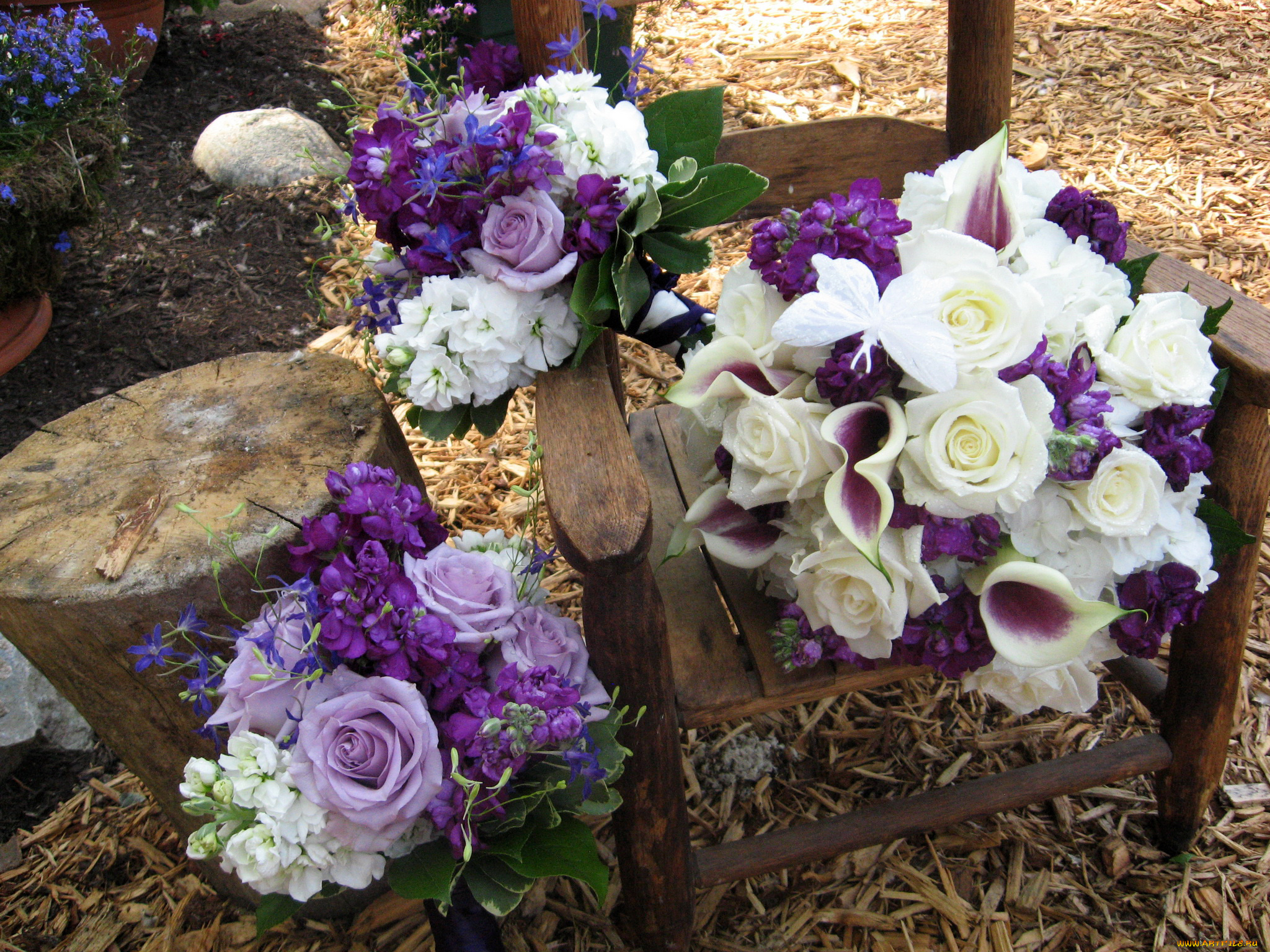 цветы, букеты, , композиции, розы, каллы, букет