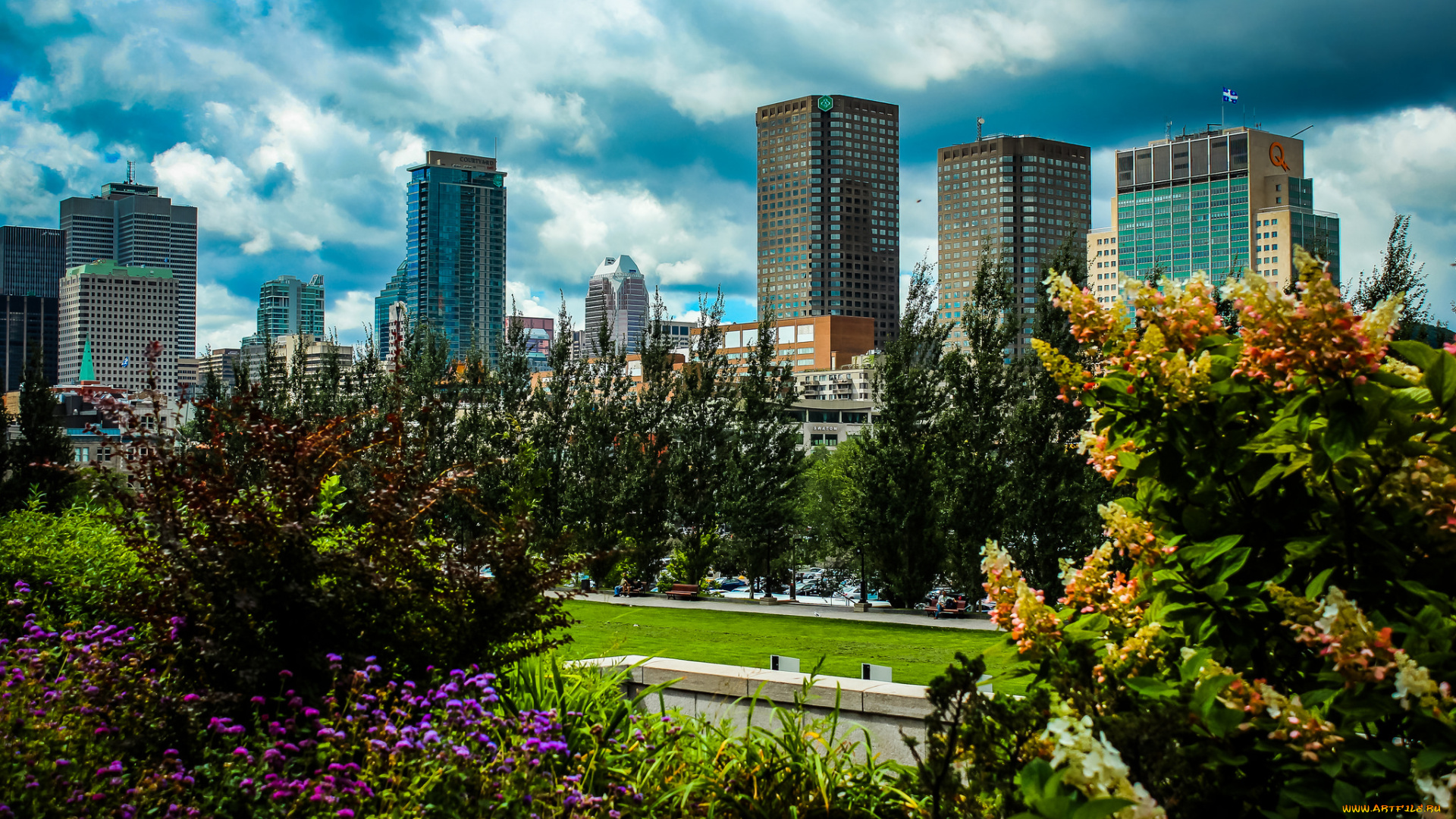 montreal, города, монреаль, , канада, парк, высотки