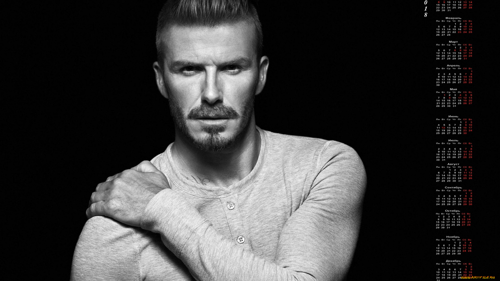 календари, знаменитости, мужчина, черный, фон