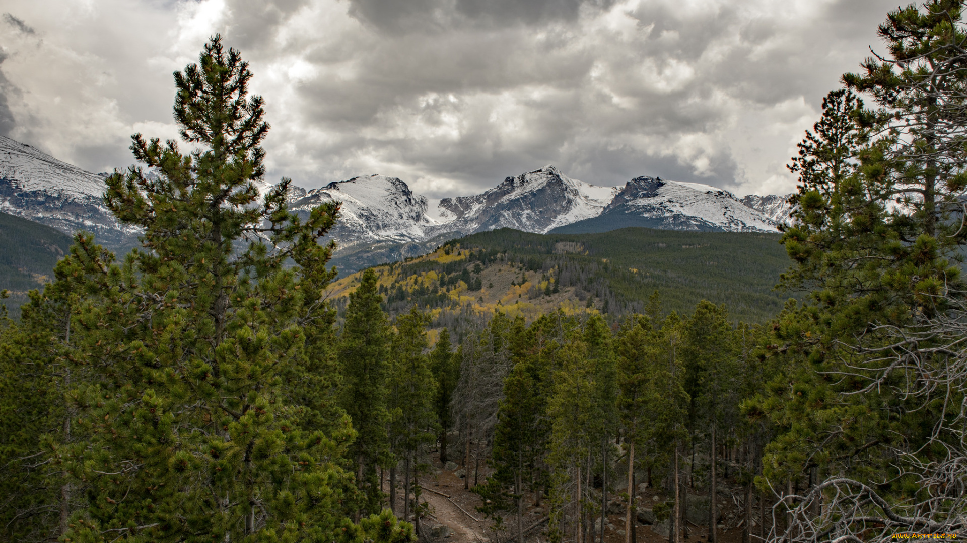 природа, пейзажи, простор