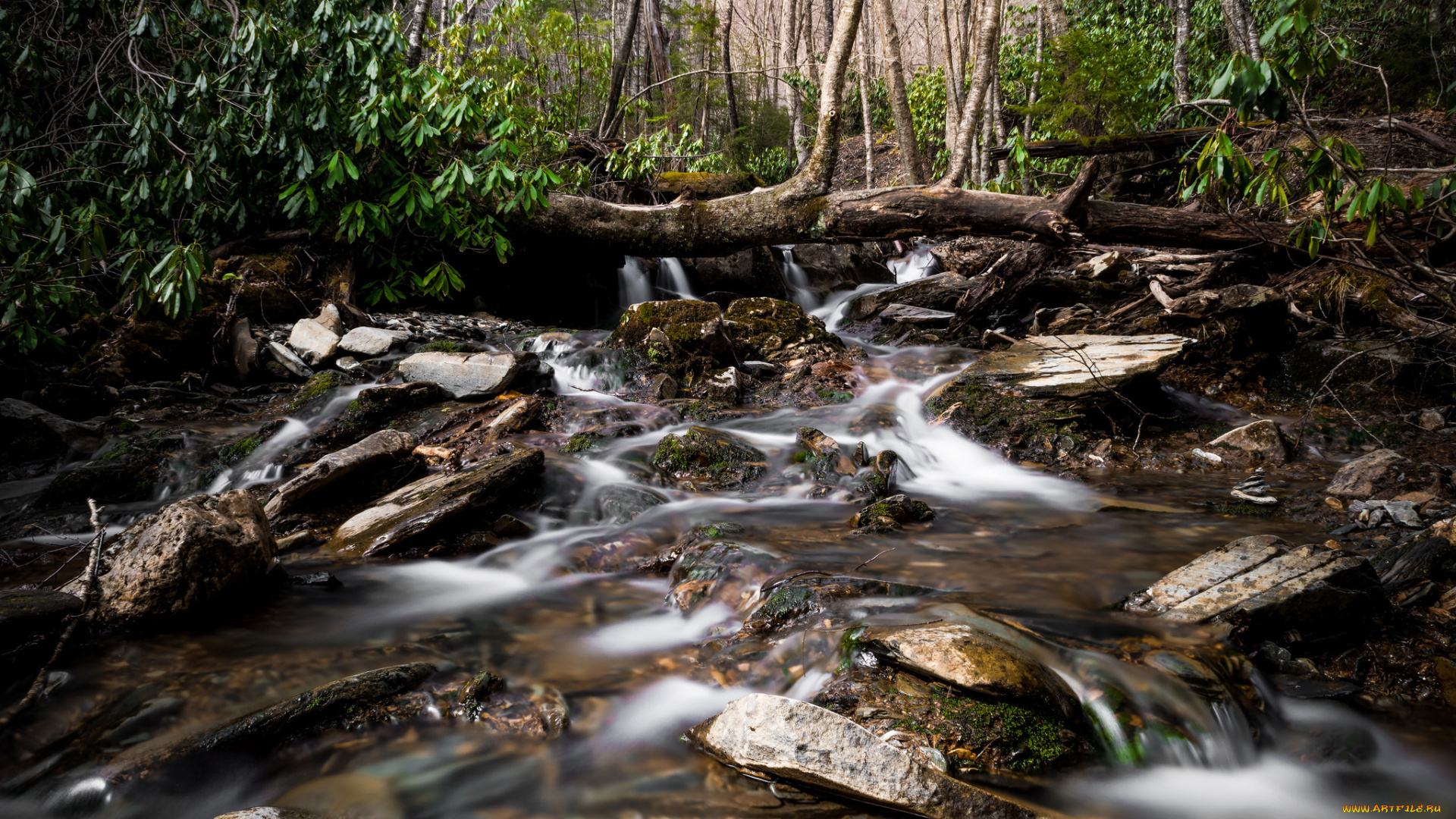 природа, реки, озера, простор